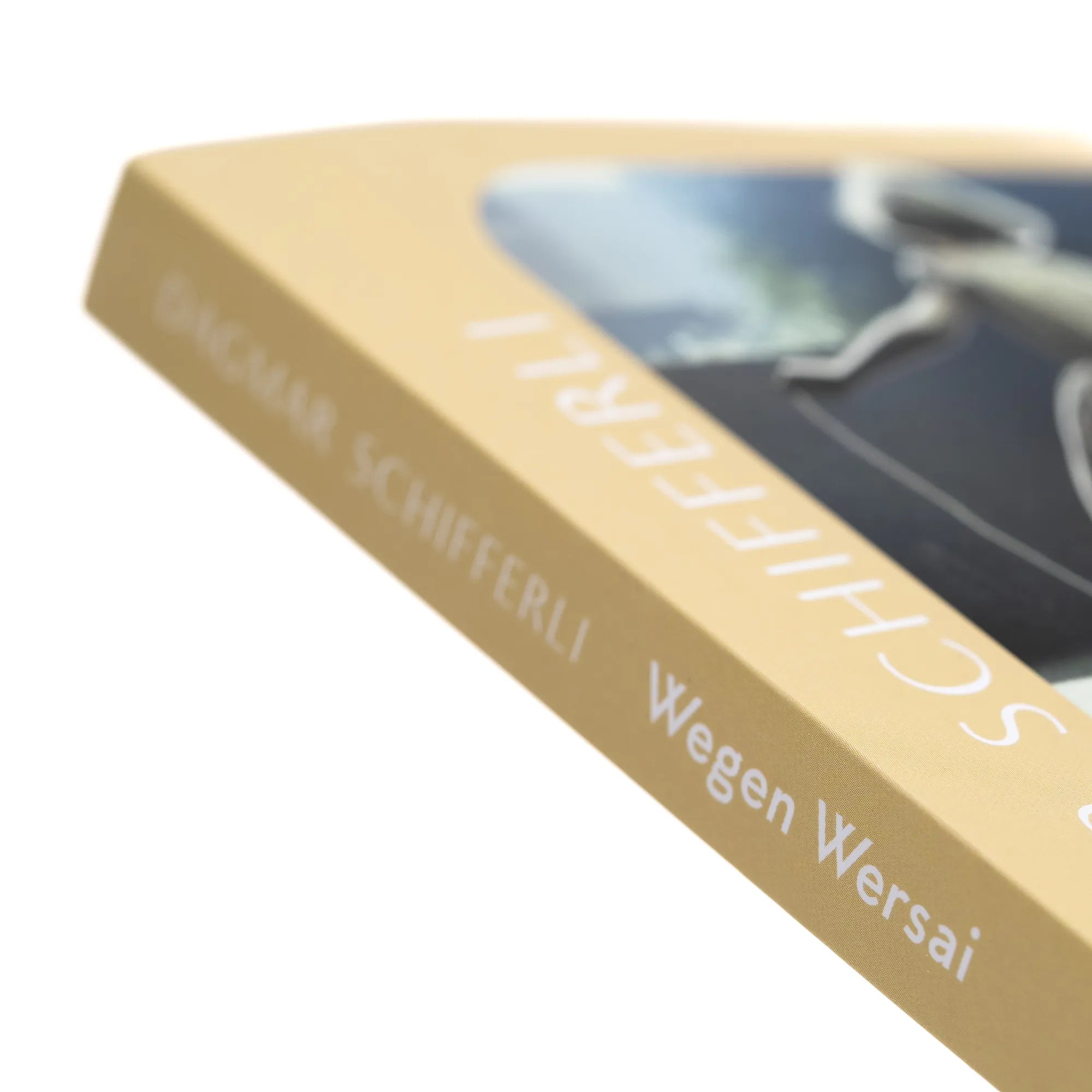 Produktansicht: Wegen Wersai (Taschenbuch)