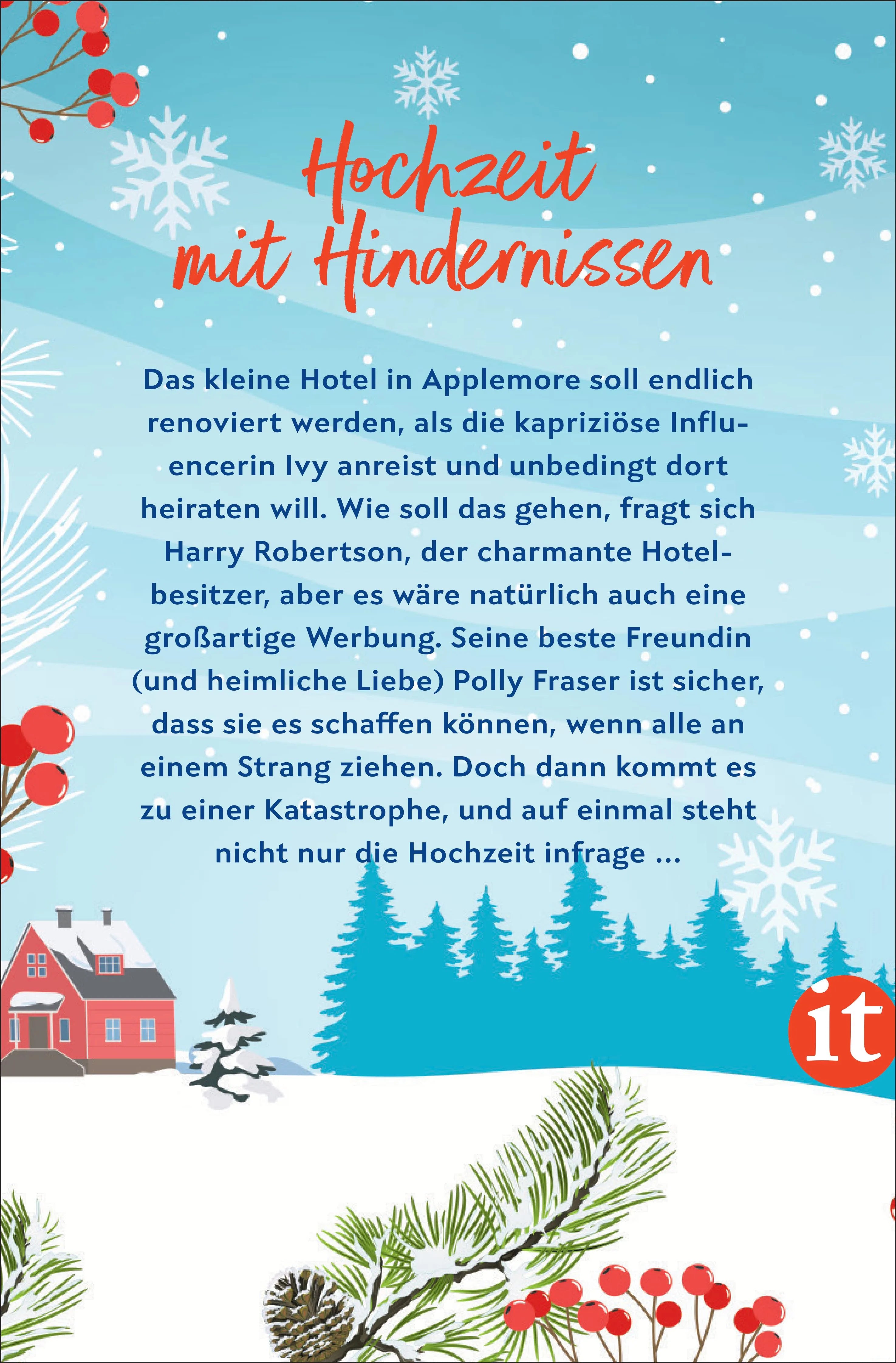 Rückseite: Weihnachten in Applemore (Taschenbuch)