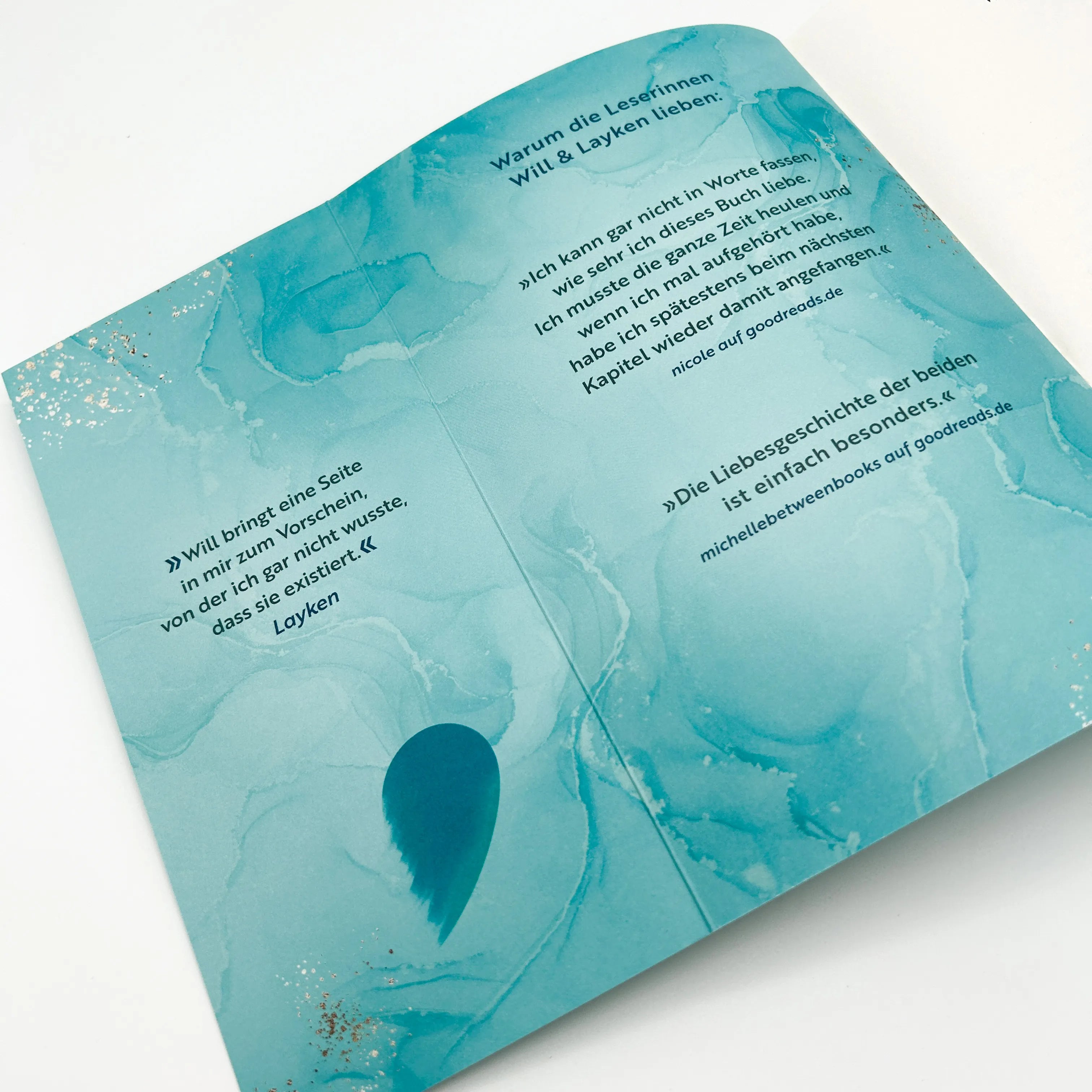 Produktansicht: Weil ich Will liebe (Taschenbuch)