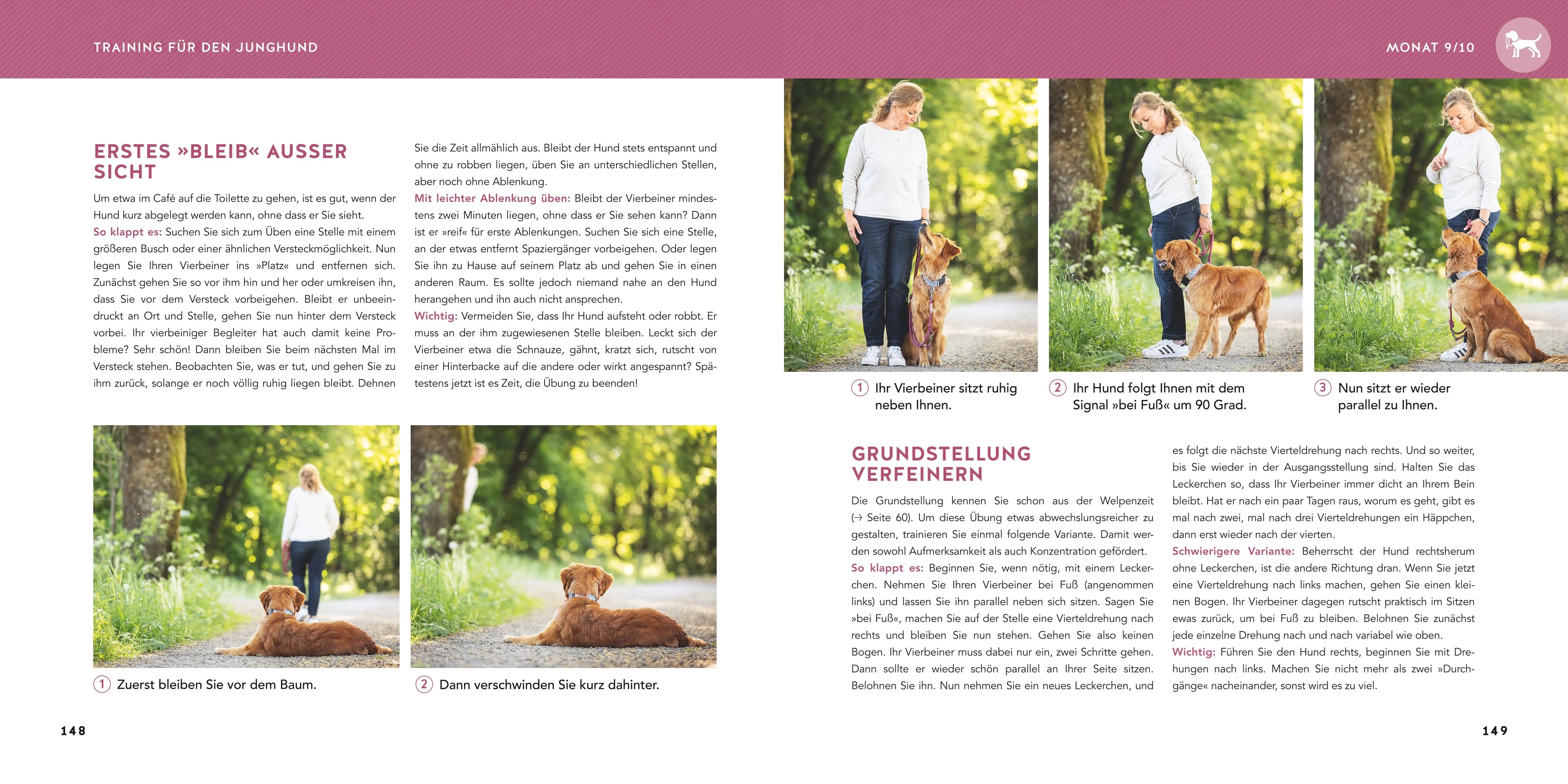 Detailansicht: Welpen-Erziehung (Taschenbuch)