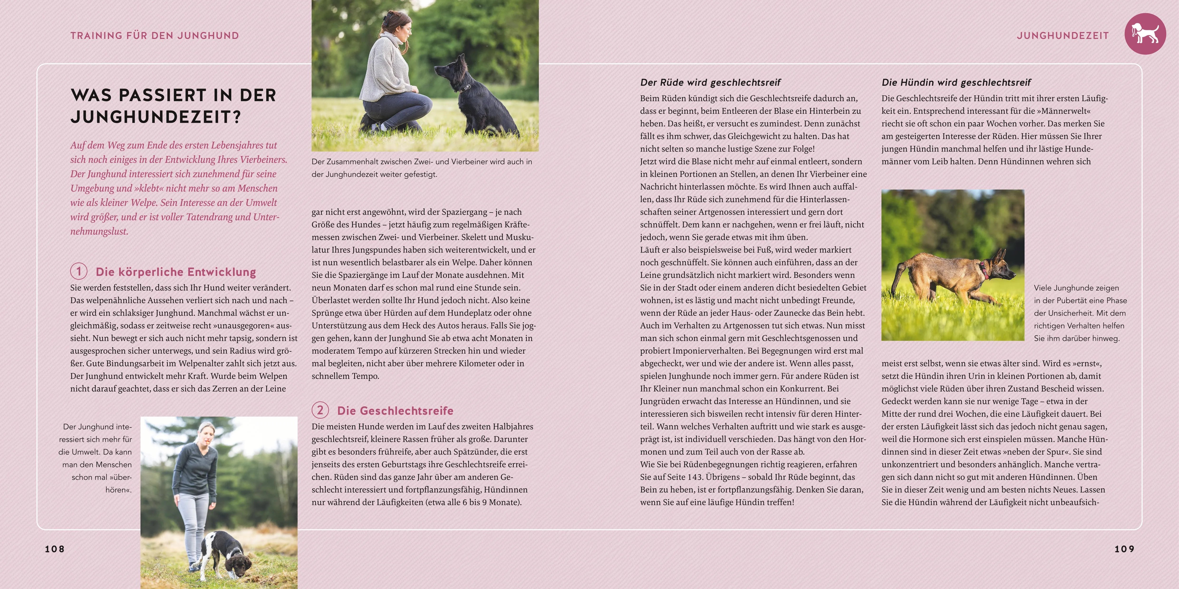 Detailansicht: Welpen-Erziehung (Taschenbuch)