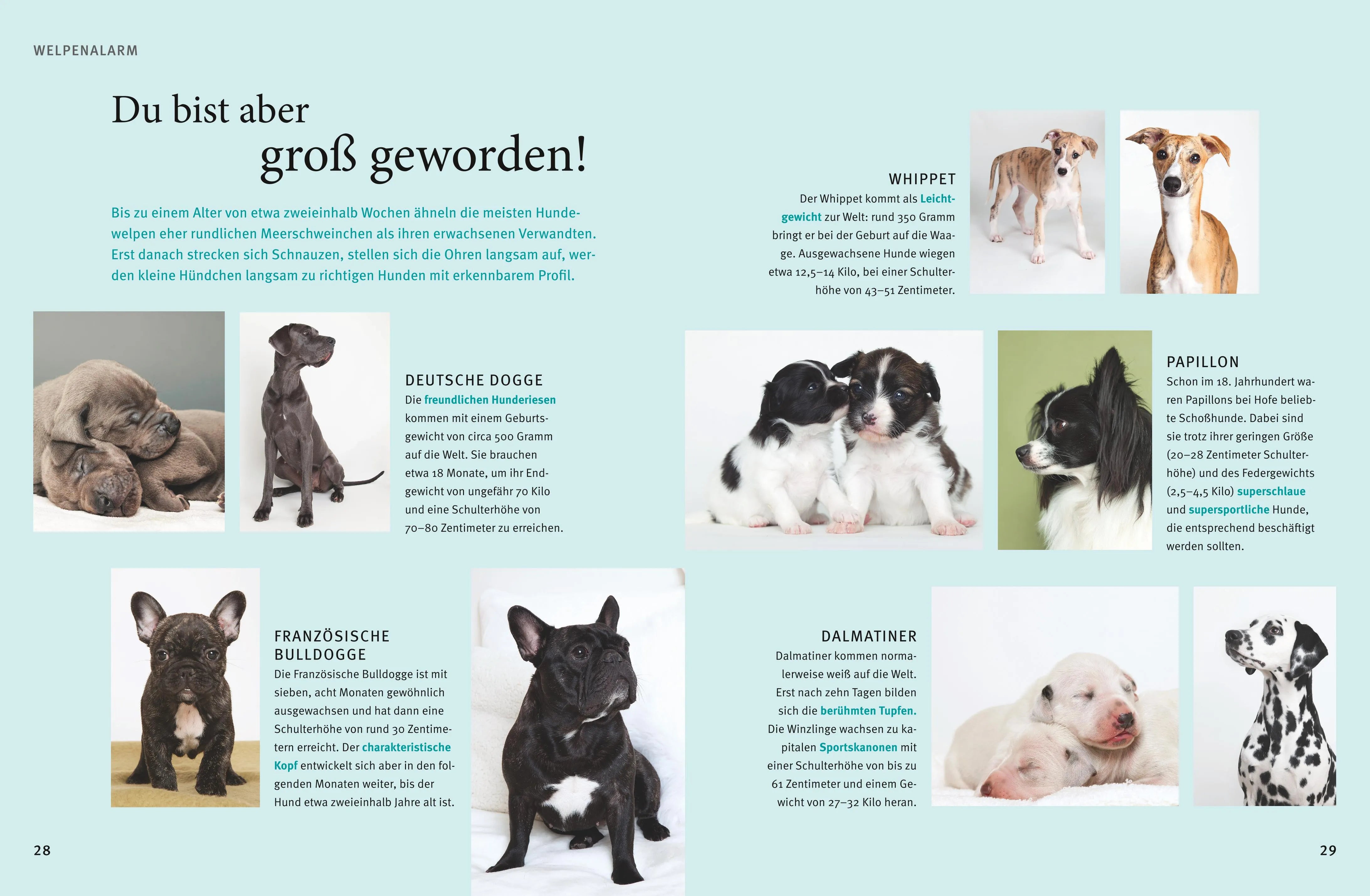 Produktansicht: Welpen-Praxisbuch (Gebundene Ausgabe)