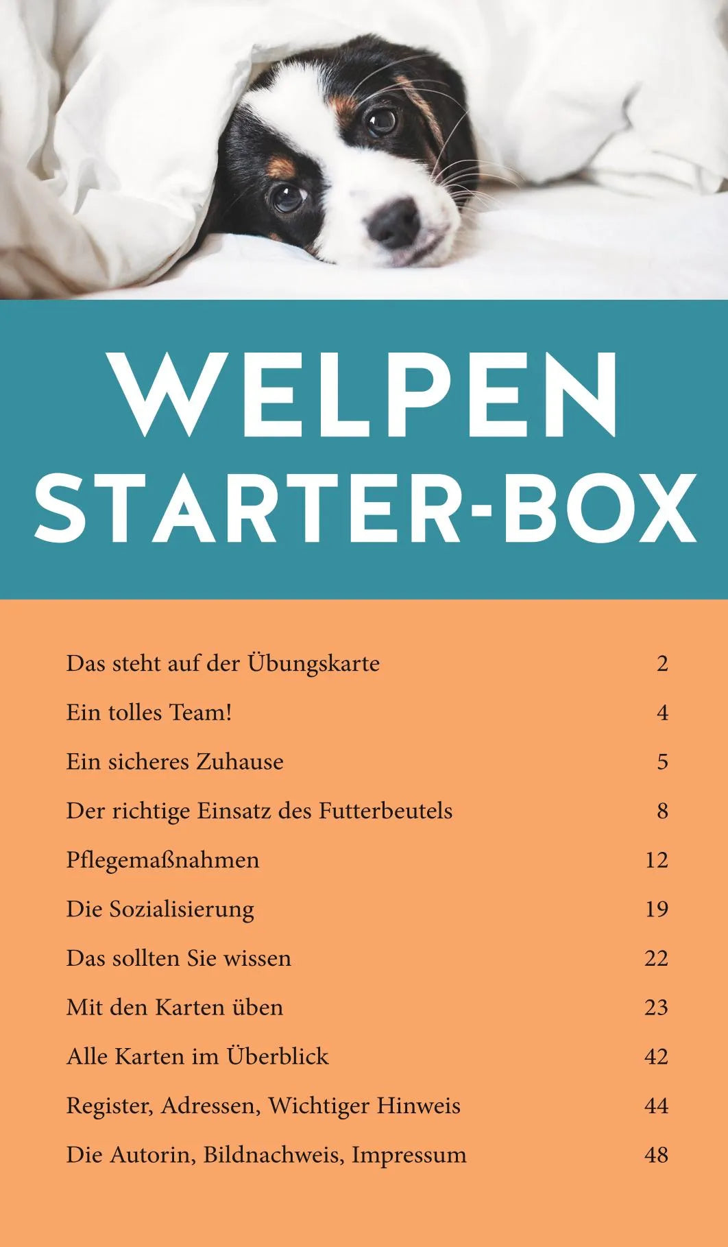 Innenansicht von 'Welpen-Starter-Box' - Gebundene Ausgabe