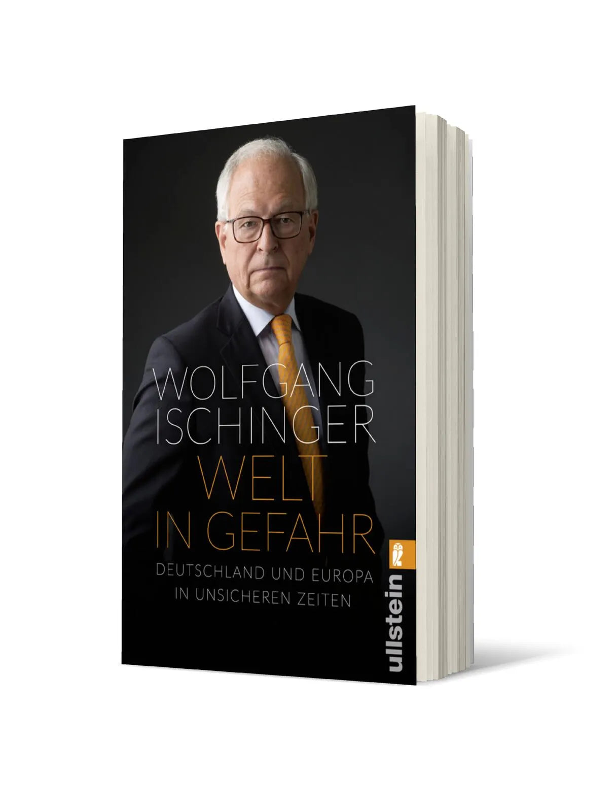 Produktansicht: Welt in Gefahr (Taschenbuch)