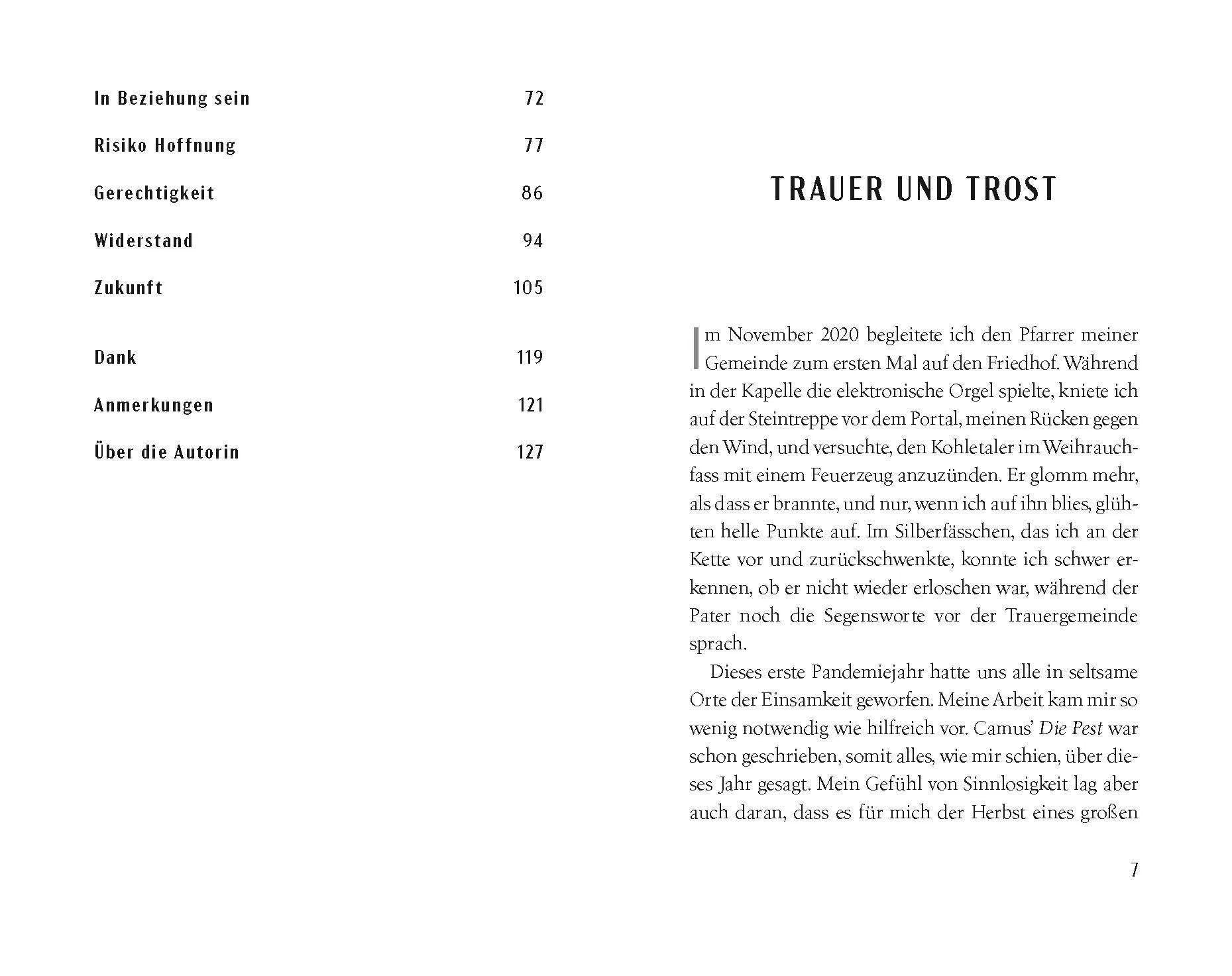 Detailansicht: Welt mit anderen Mitteln (Hardcover)