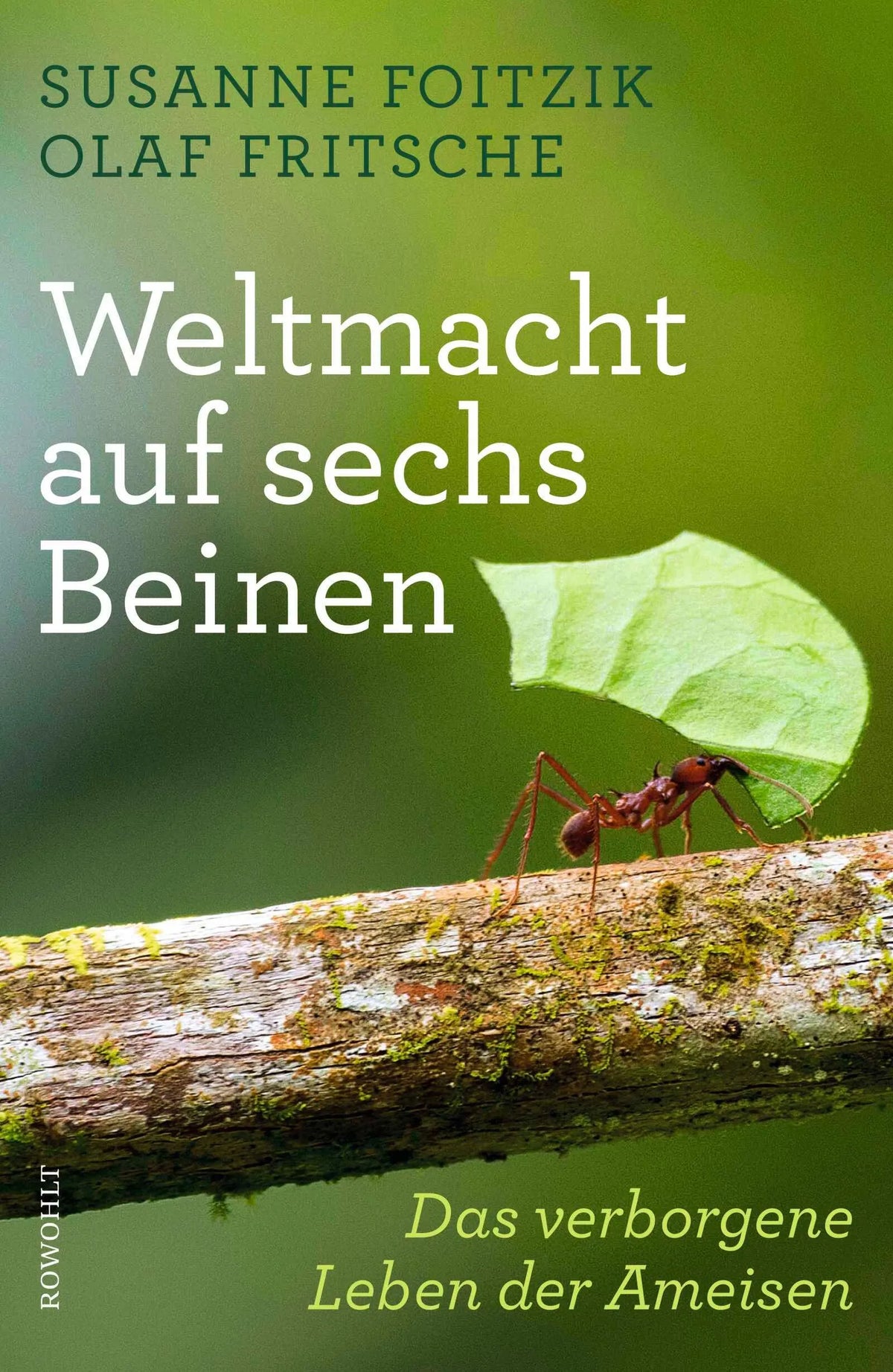 Cover: Weltmacht auf sechs Beinen (Hardcover) von Susanne Foitzik