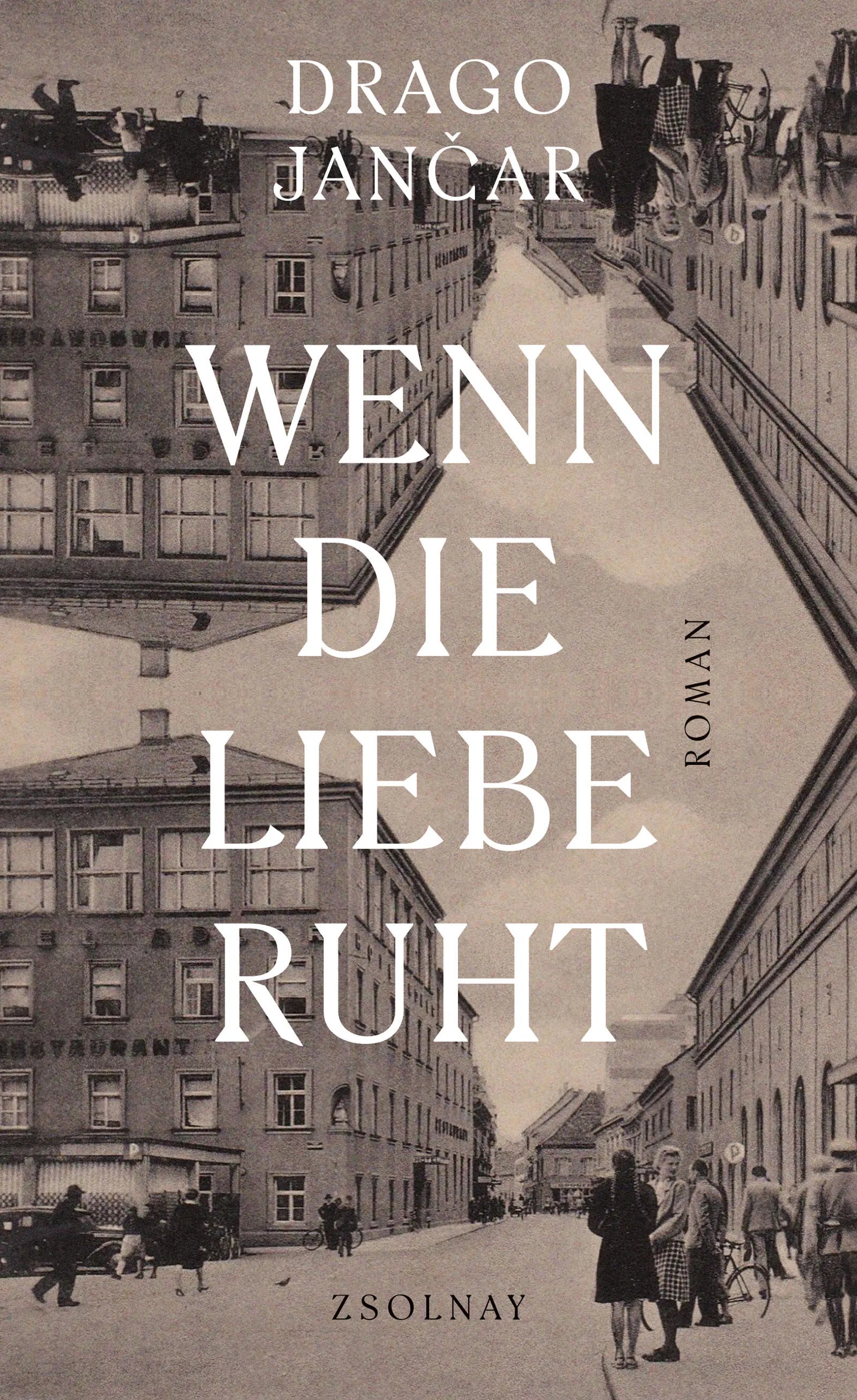 Buchcover von 'Wenn die Liebe ruht' - Gebundene Ausgabe von Drago Jancar