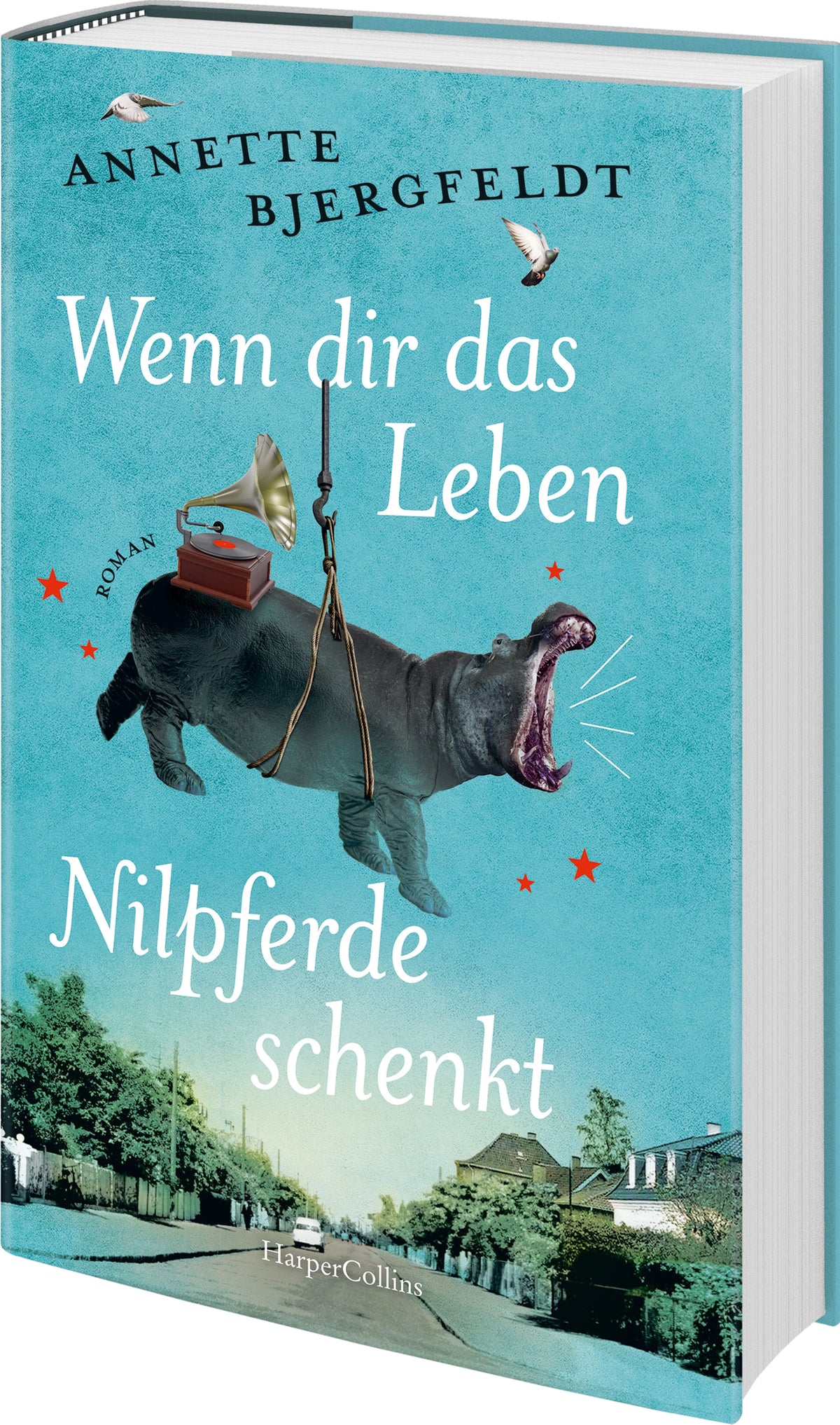 Detailansicht: Wenn dir das Leben Nilpferde schenkt (Hardcover)
