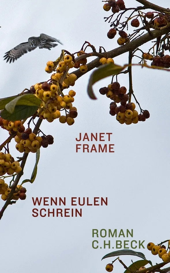 Buchcover von 'Wenn Eulen schrein' - Gebundene Ausgabe von Janet Frame