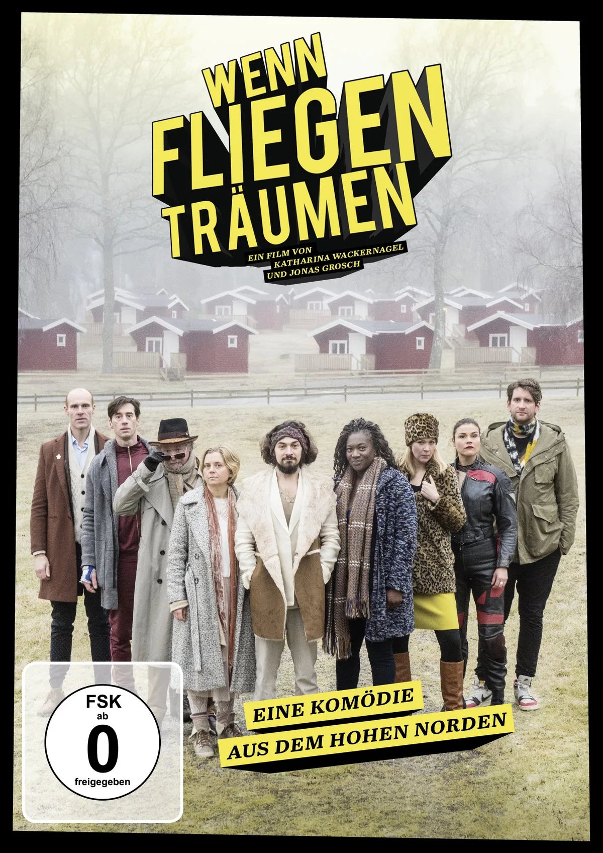 Wenn Fliegen träumen - DVD
