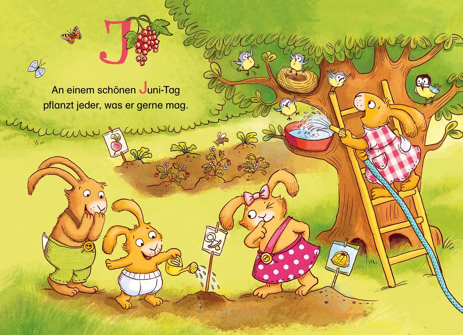 Abbildung von 'Wenn sieben kleine Hasen durch das ABC rasen'