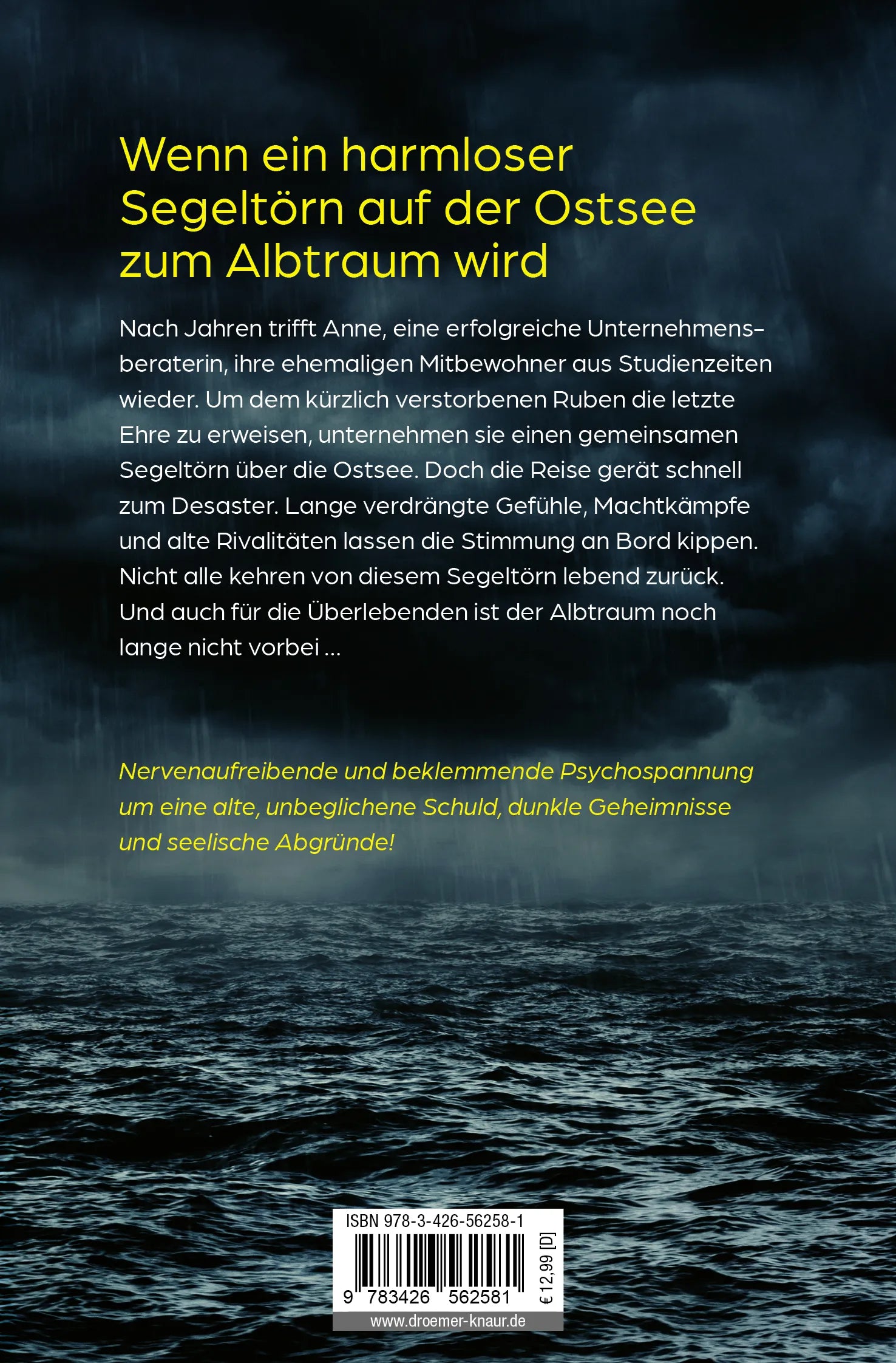 Buchrückseite von 'Wer am Ende übrig bleibt' mit Klappentext - Taschenbuch