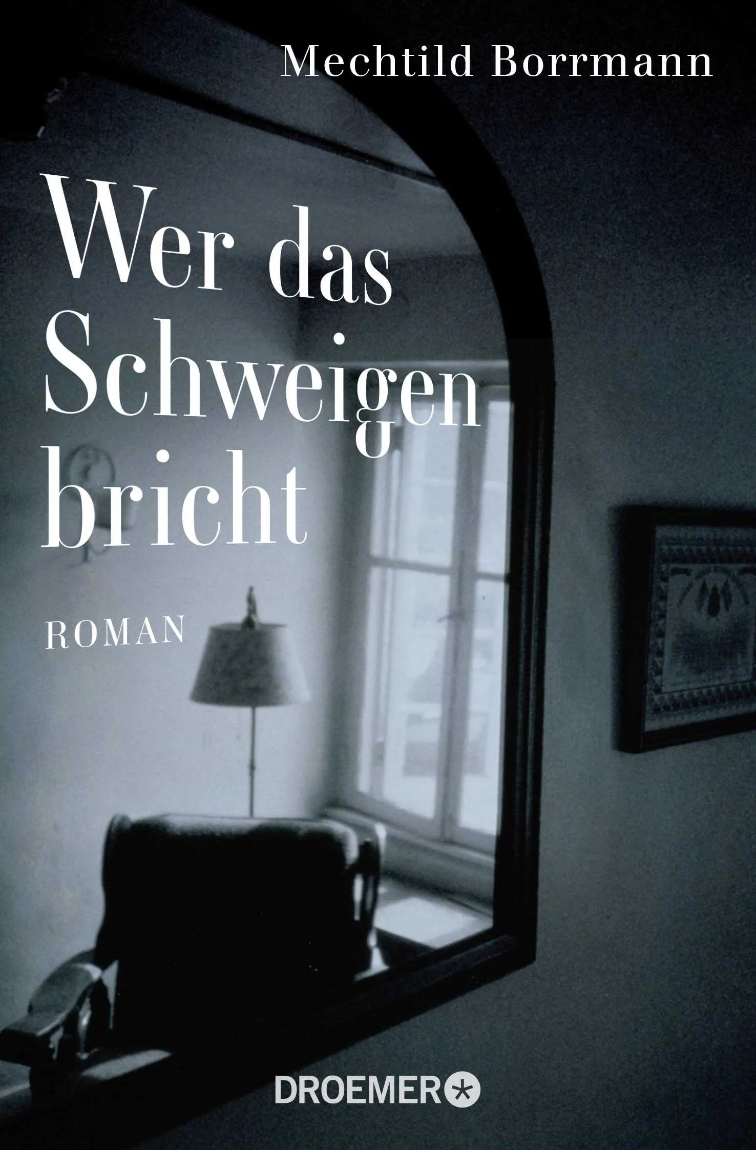Buchcover von 'Wer das Schweigen bricht' - Taschenbuch von Mechtild Borrmann