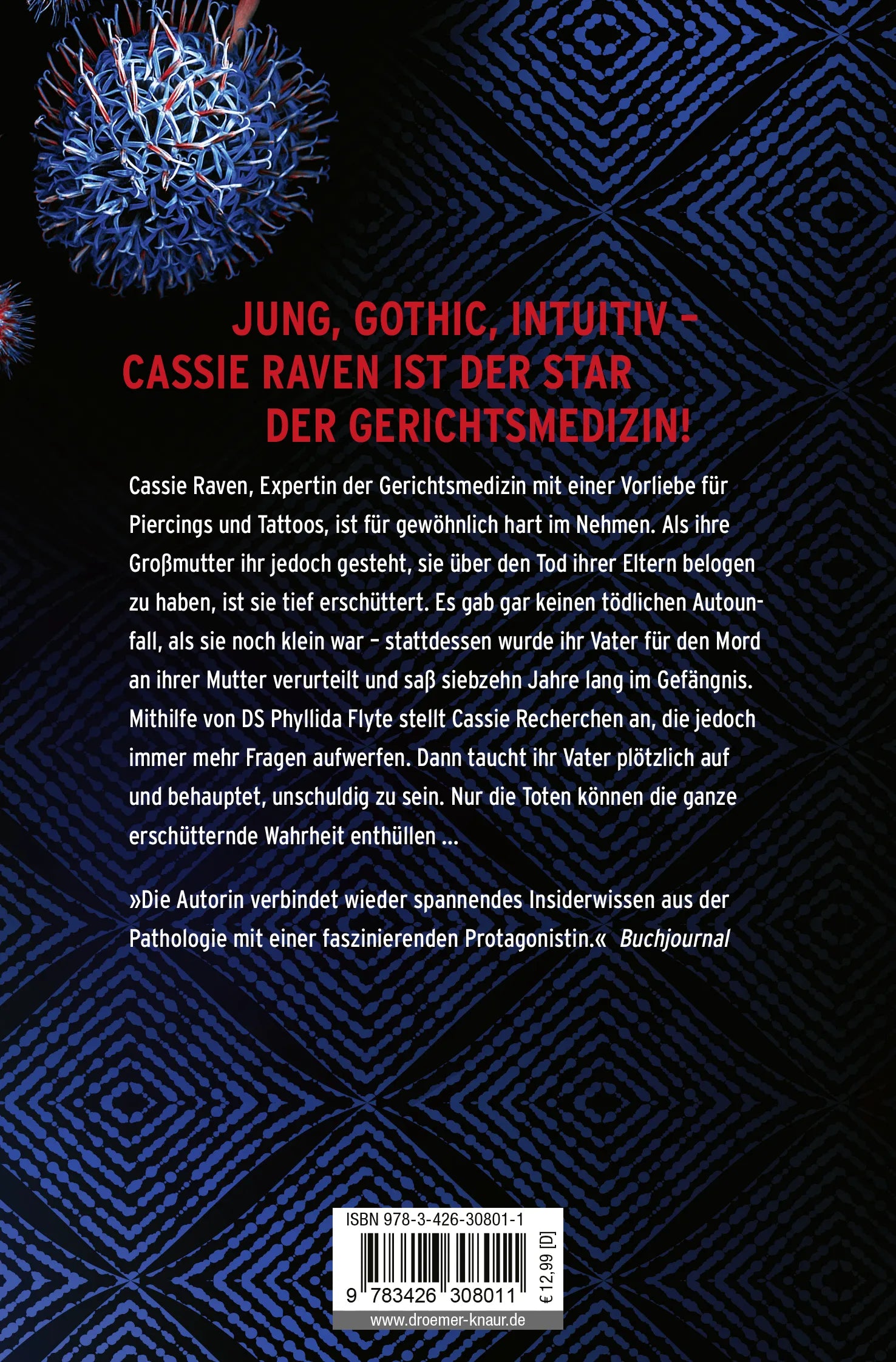 Buchrückseite von 'Wer mit den Toten spricht' mit Klappentext - Taschenbuch