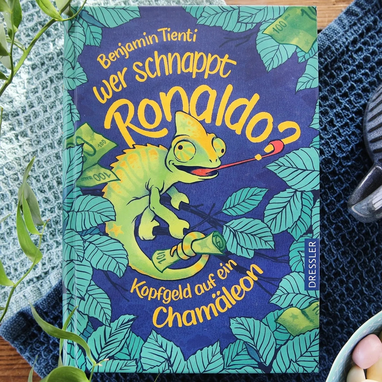 Produktansicht: Wer schnappt Ronaldo? (Gebundene Ausgabe)