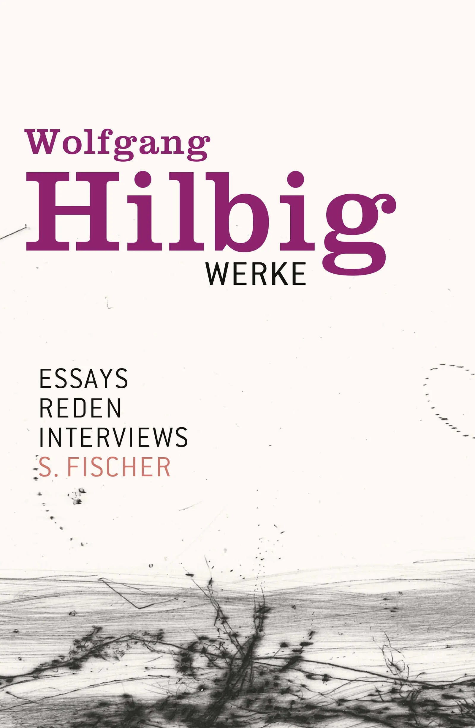 Buchcover von 'Werke, Band 7: Essays, Reden, Interviews' - Gebundene Ausgabe von Wolfgang Hilbig