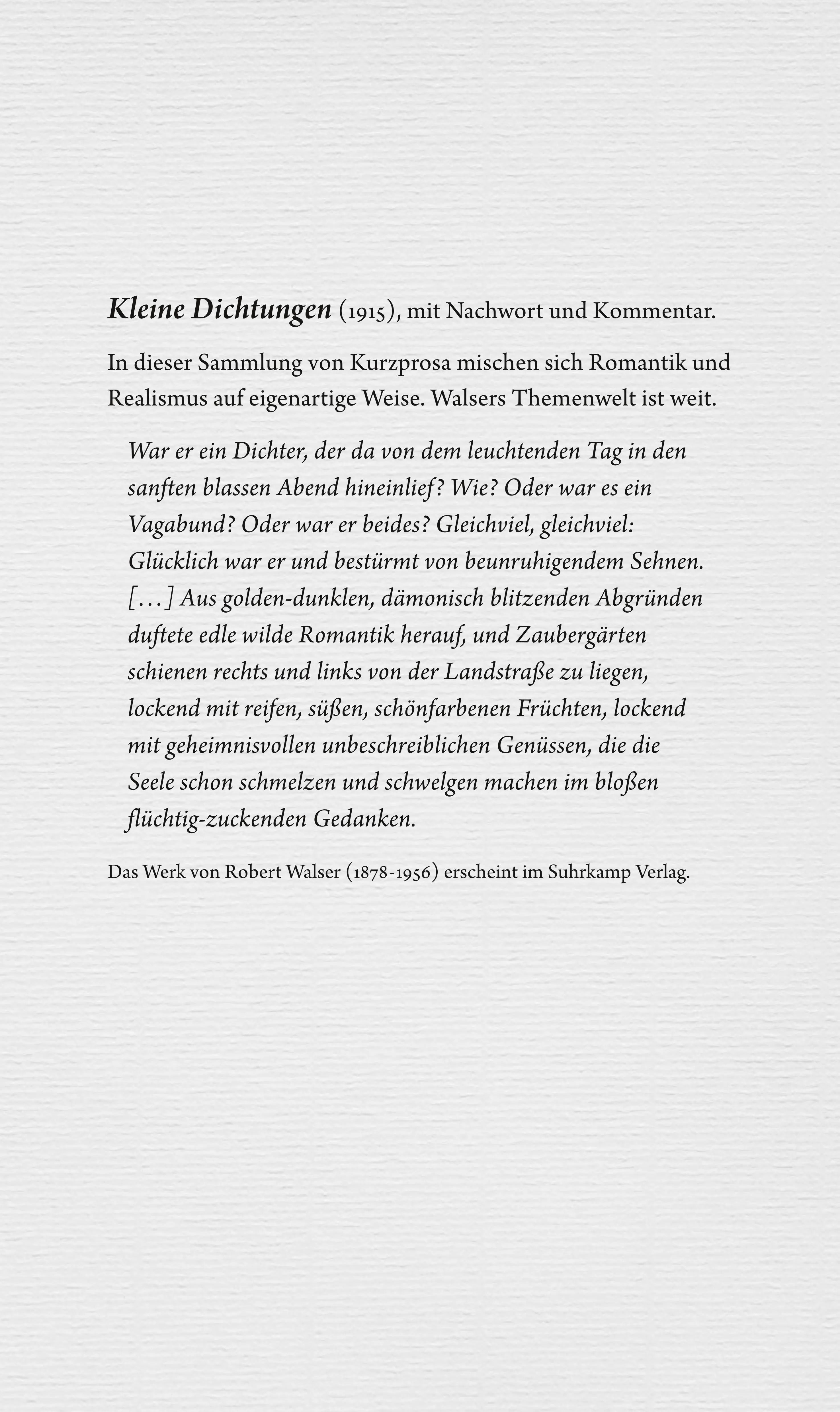 Buchrückseite von 'Werke. Berner Ausgabe' mit Klappentext - Taschenbuch