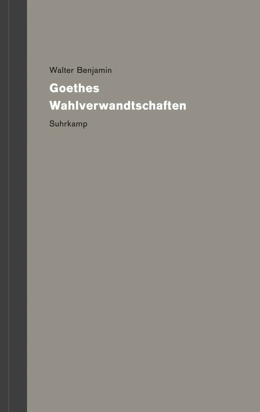 Buchcover von 'Werke und Nachlaß. Kritische Gesamtausgabe' - Gebundene Ausgabe von Walter Benjamin