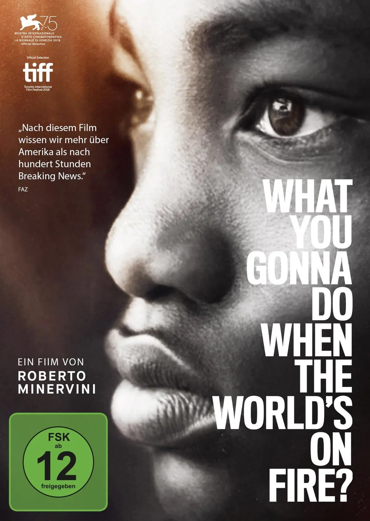 What You Gonna Do When the World's on Fire? - DVD