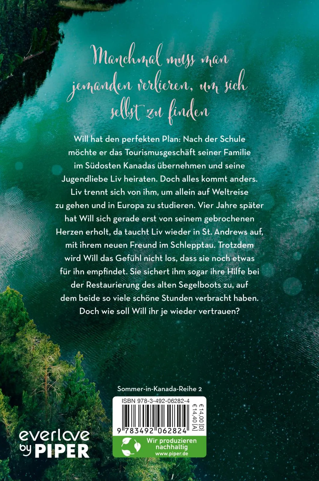 Buchrückseite von 'When the Night Falls' mit Klappentext - Paperback