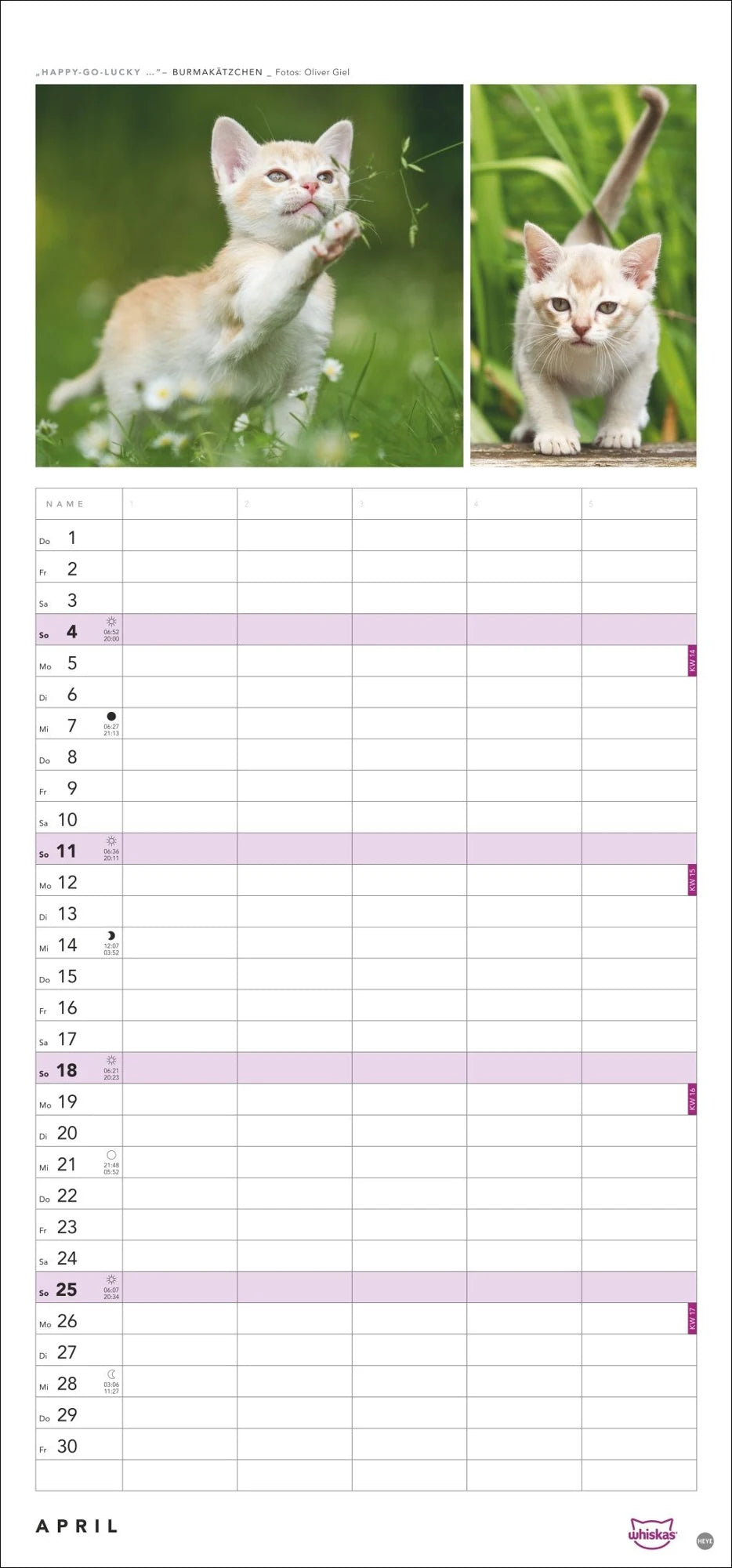 Whiskas Familienplaner 2027 – Ansicht
