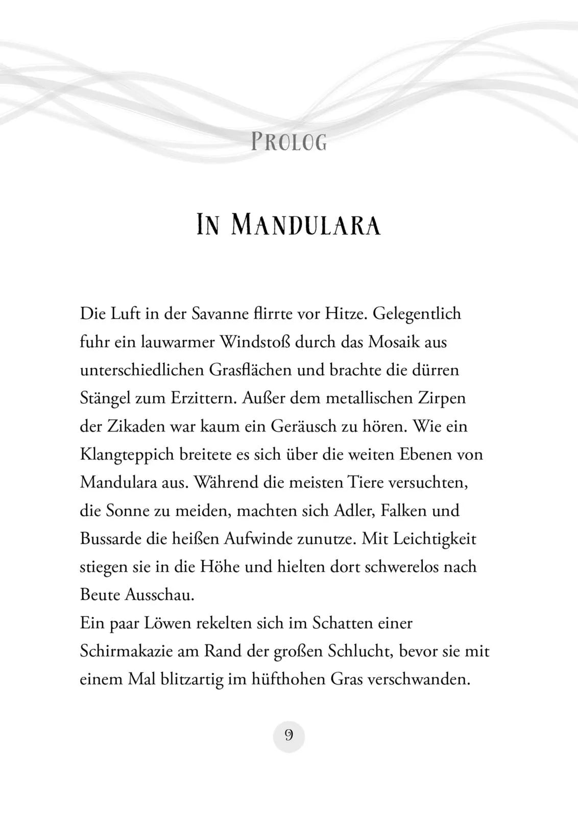Produktansicht: Whisperworld 5: Entscheidung am Abgrund (Gebundene Ausgabe)