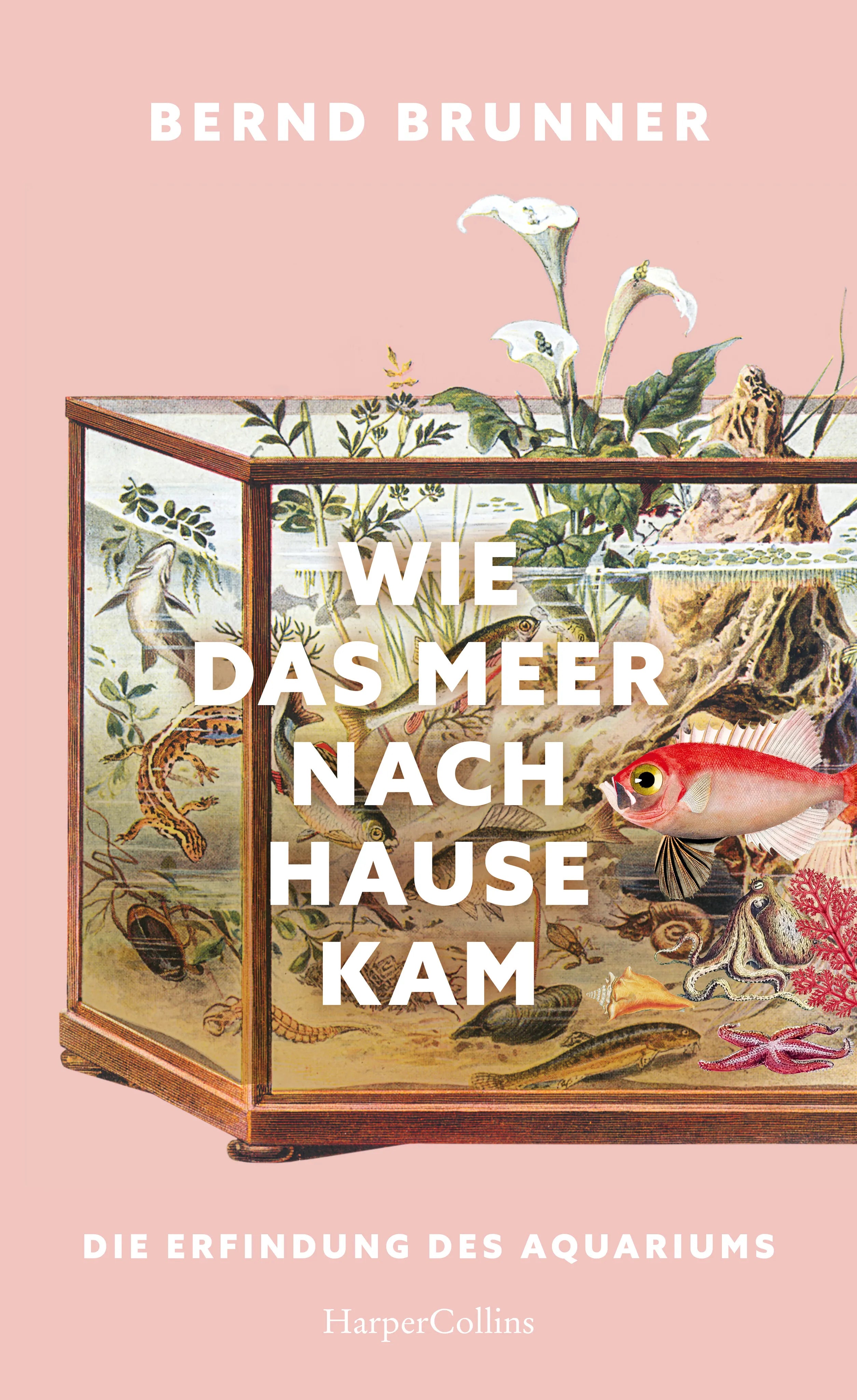 Buchcover von 'Wie das Meer nach Hause kam. Die Erfindung des Aquariums' - Gebundene Ausgabe von Bernd Brunner