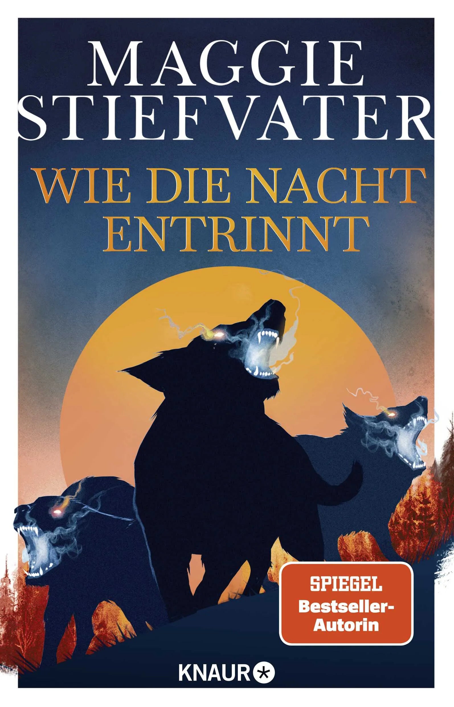 Buchcover von 'Wie die Nacht entrinnt' - Paperback von Maggie Stiefvater