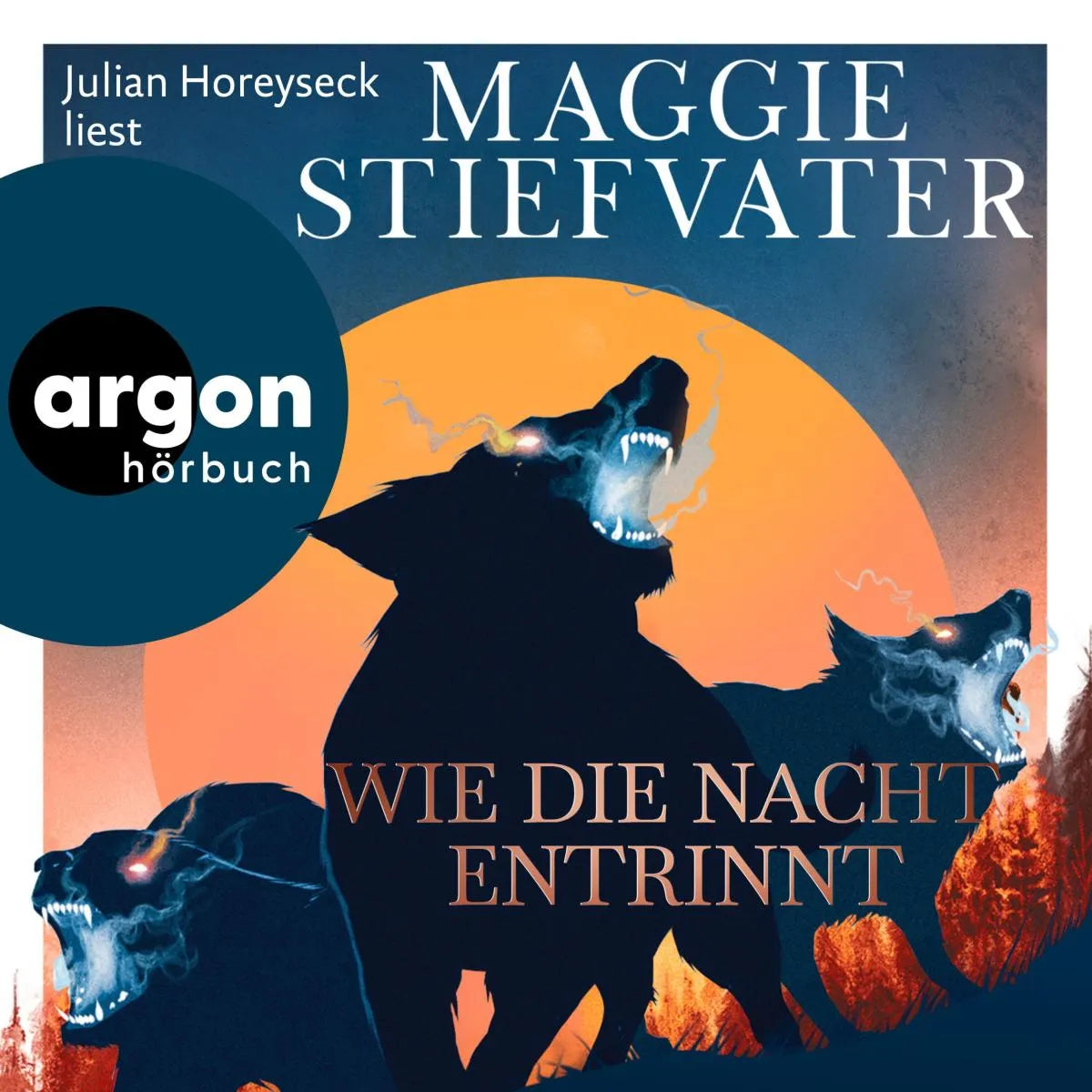Cover: Wie die Nacht entrinnt (Hörbuch Download) von Maggie Stiefvater