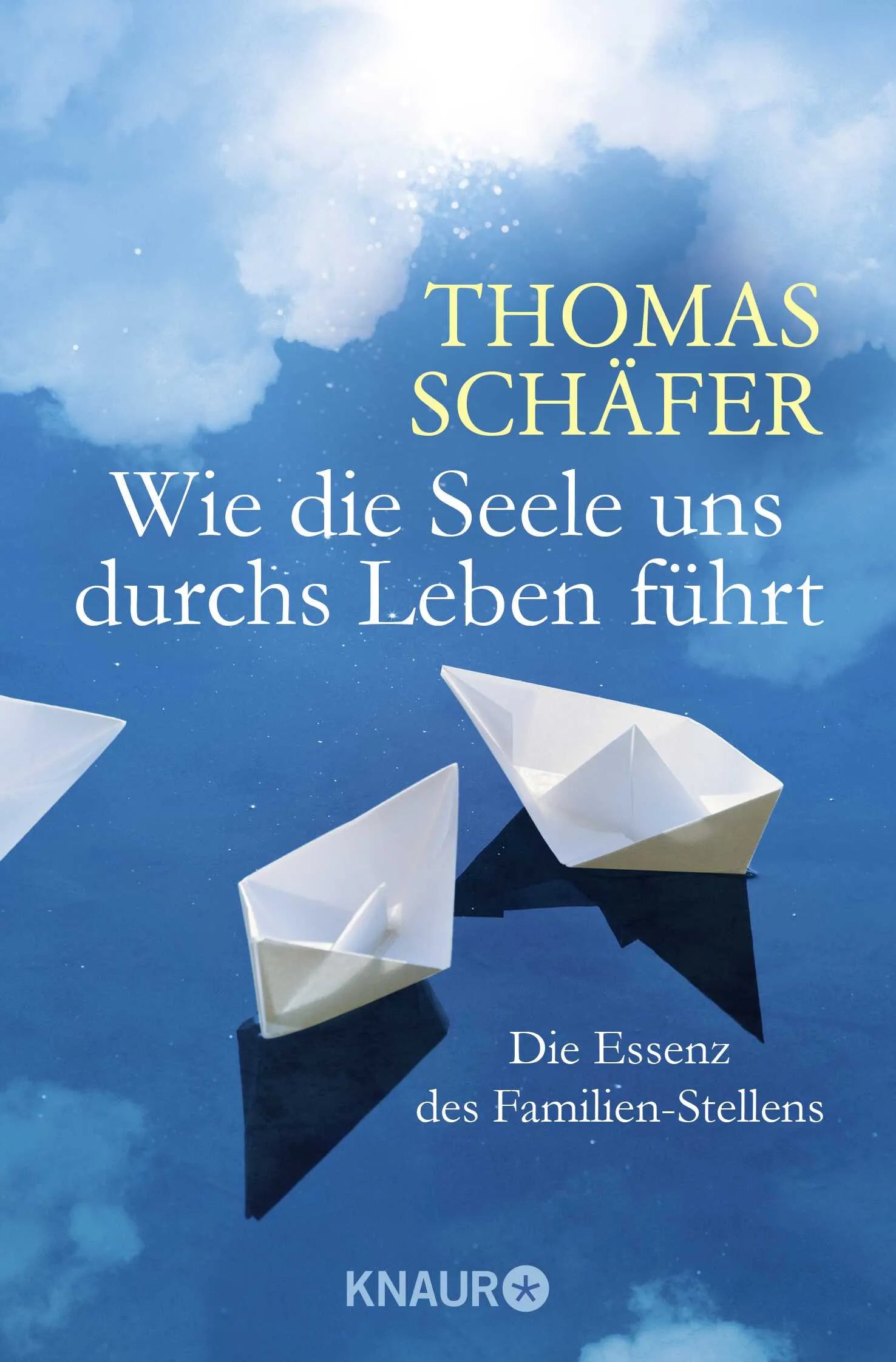 Buchcover von 'Wie die Seele uns durchs Leben führt' - Taschenbuch von Thomas Schäfer
