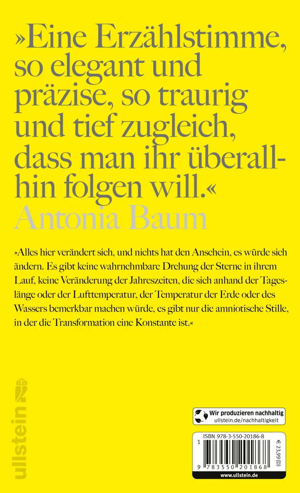 Buchrückseite von 'Wie die Vögel unter dem Himmel' mit Klappentext - Gebundene Ausgabe