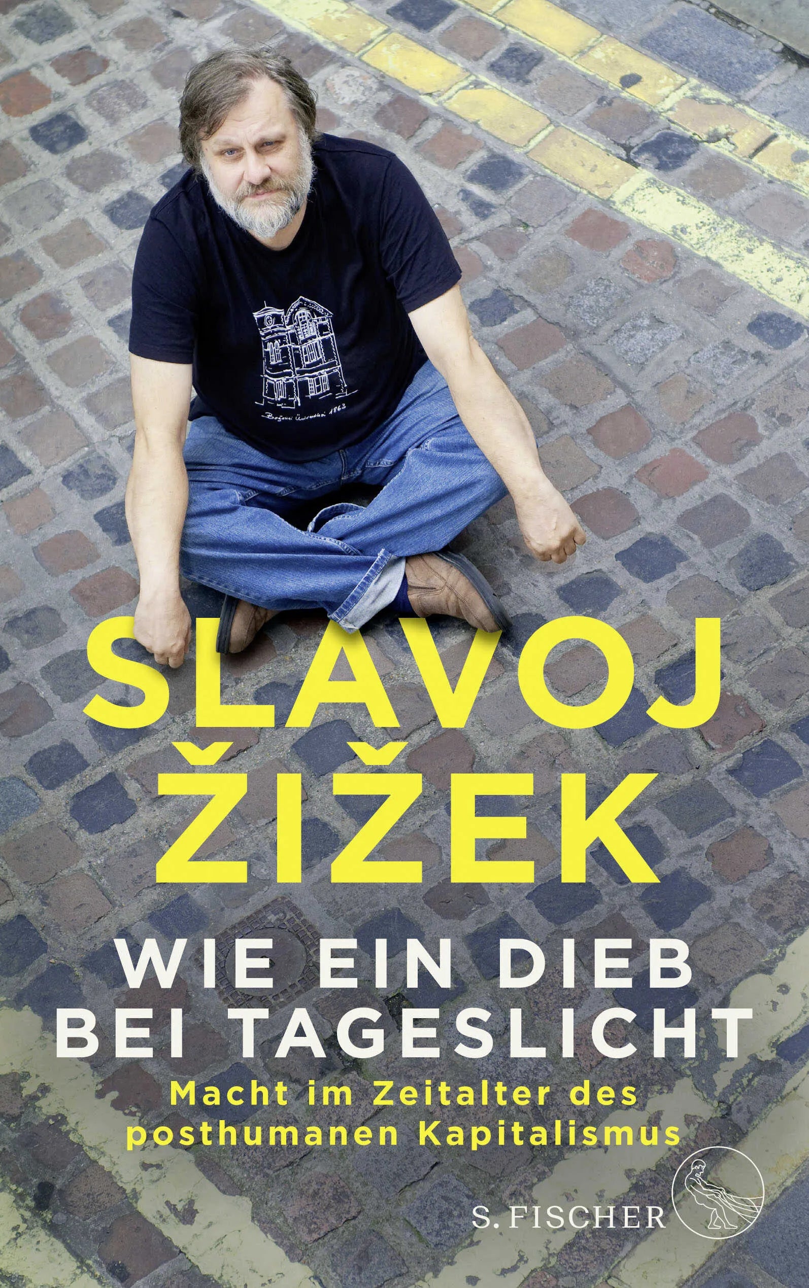 Buchcover von 'Wie ein Dieb bei Tageslicht' - Paperback von Slavoj Žižek
