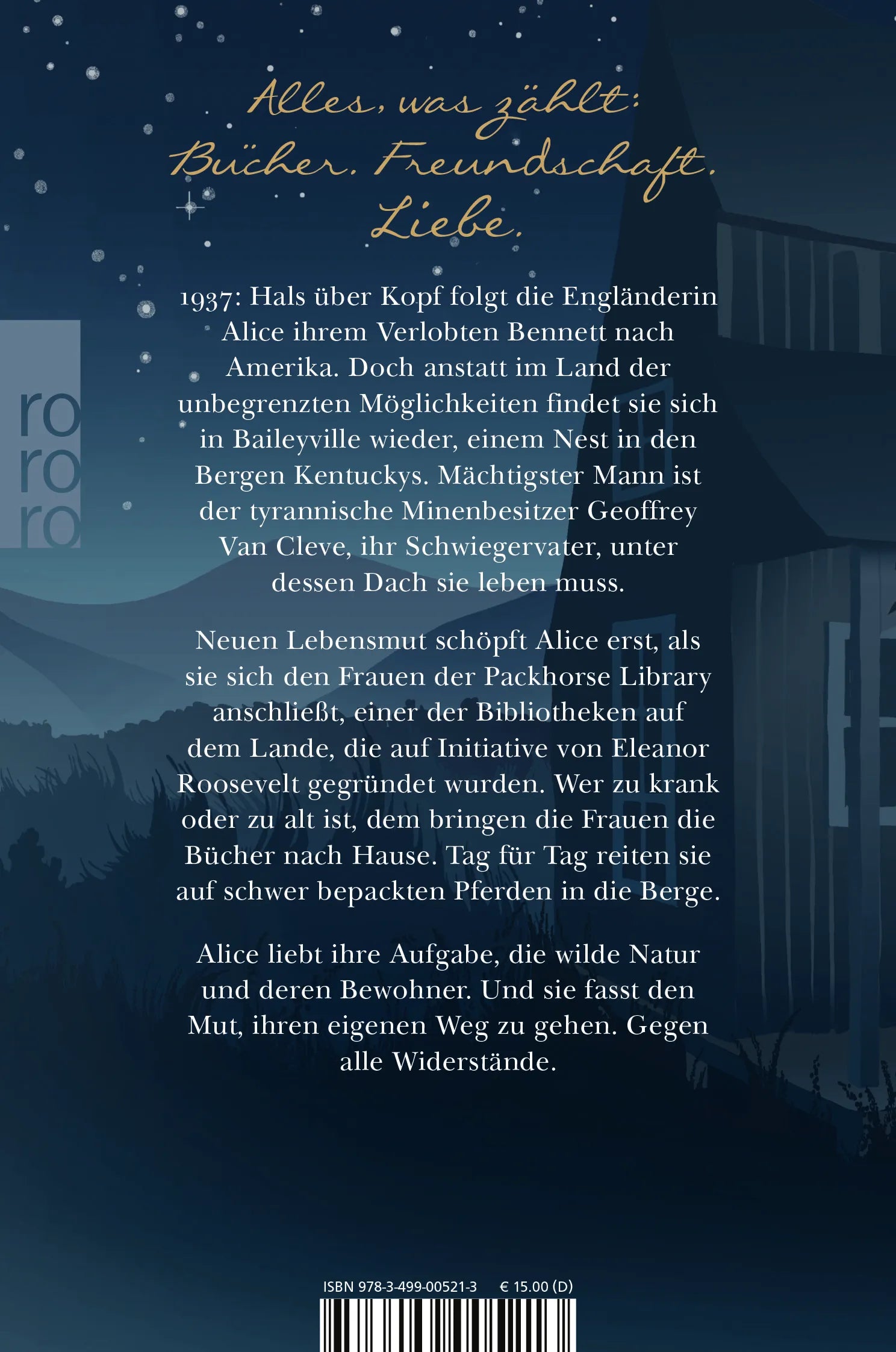 Buchrückseite von 'Wie ein Leuchten in tiefer Nacht' mit Klappentext - Taschenbuch
