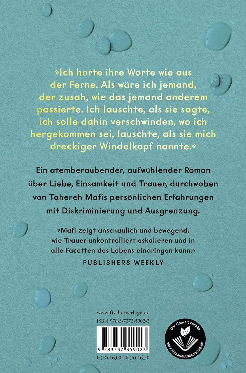 Buchrückseite von 'Wie ein leuchtender Stern' mit Klappentext - Gebundene Ausgabe