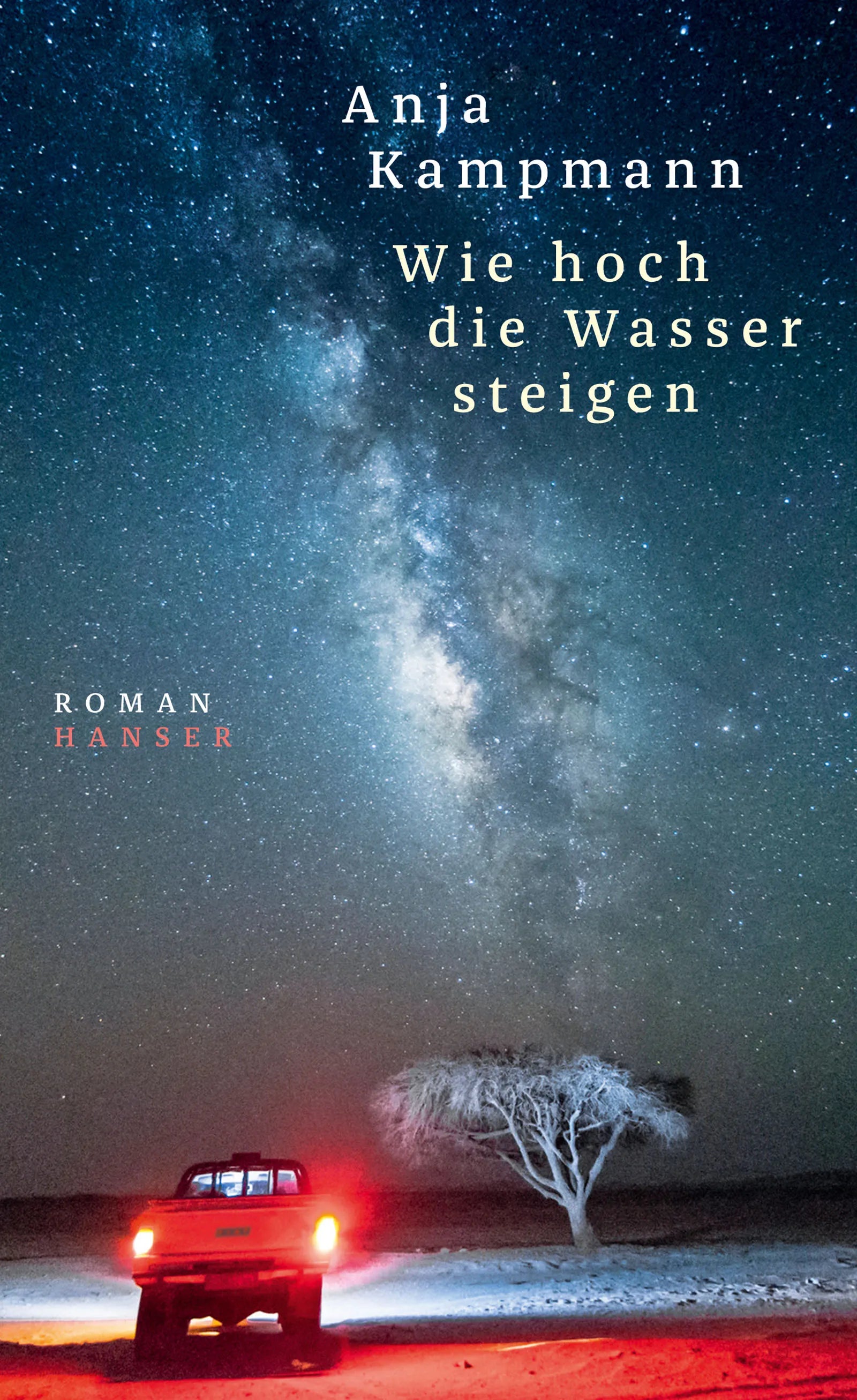 Buchcover von 'Wie hoch die Wasser steigen' - Gebundene Ausgabe von Anja Kampmann