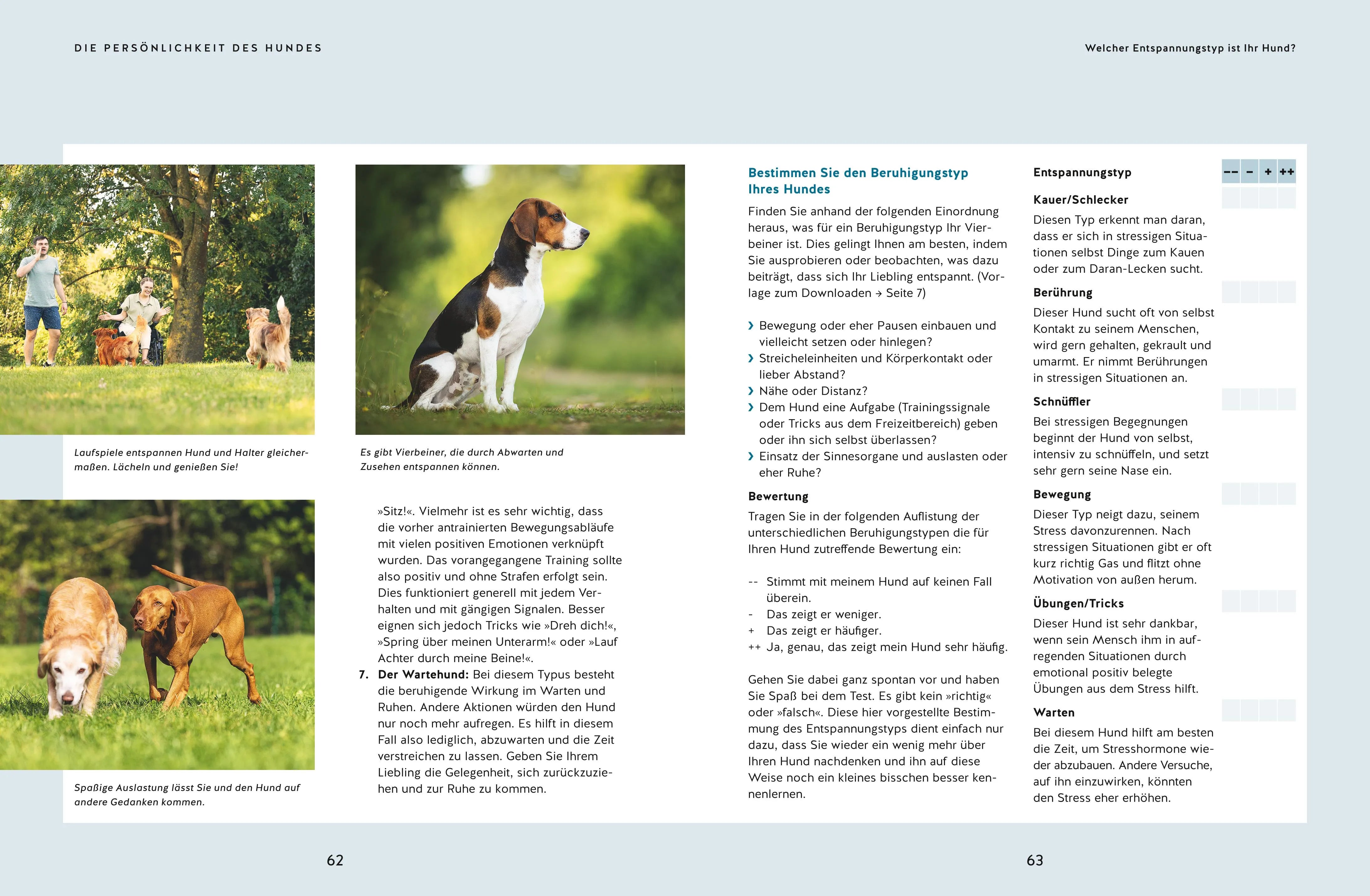 Kristina Ziemer-Falke - Wie ich meinen Hund endlich verstehe