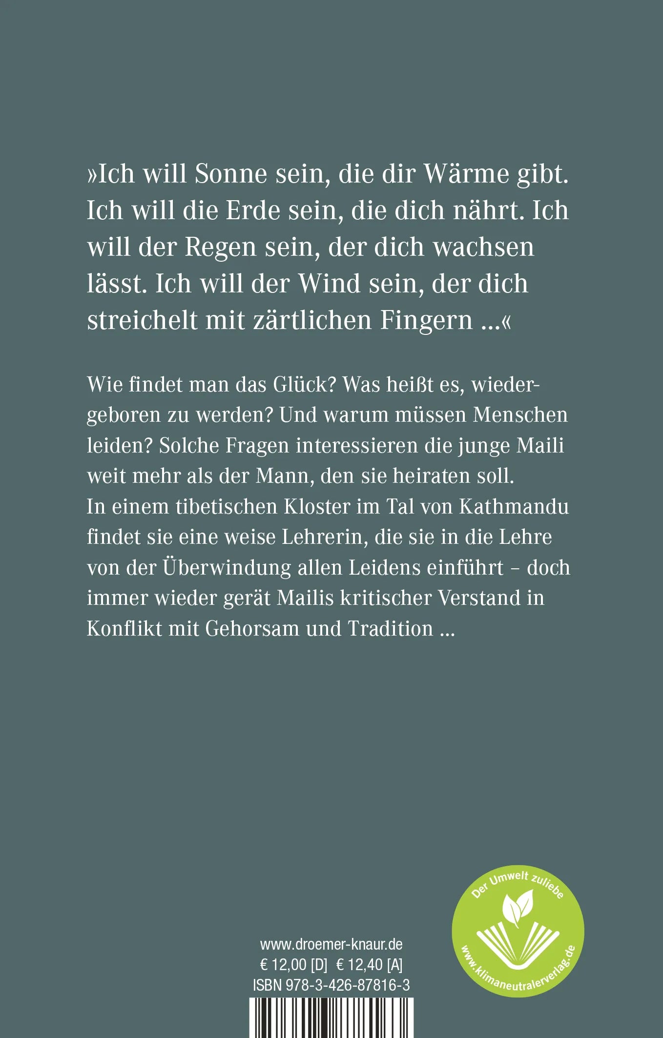 Buchrückseite von 'Wie in einem Traum' mit Klappentext - Taschenbuch