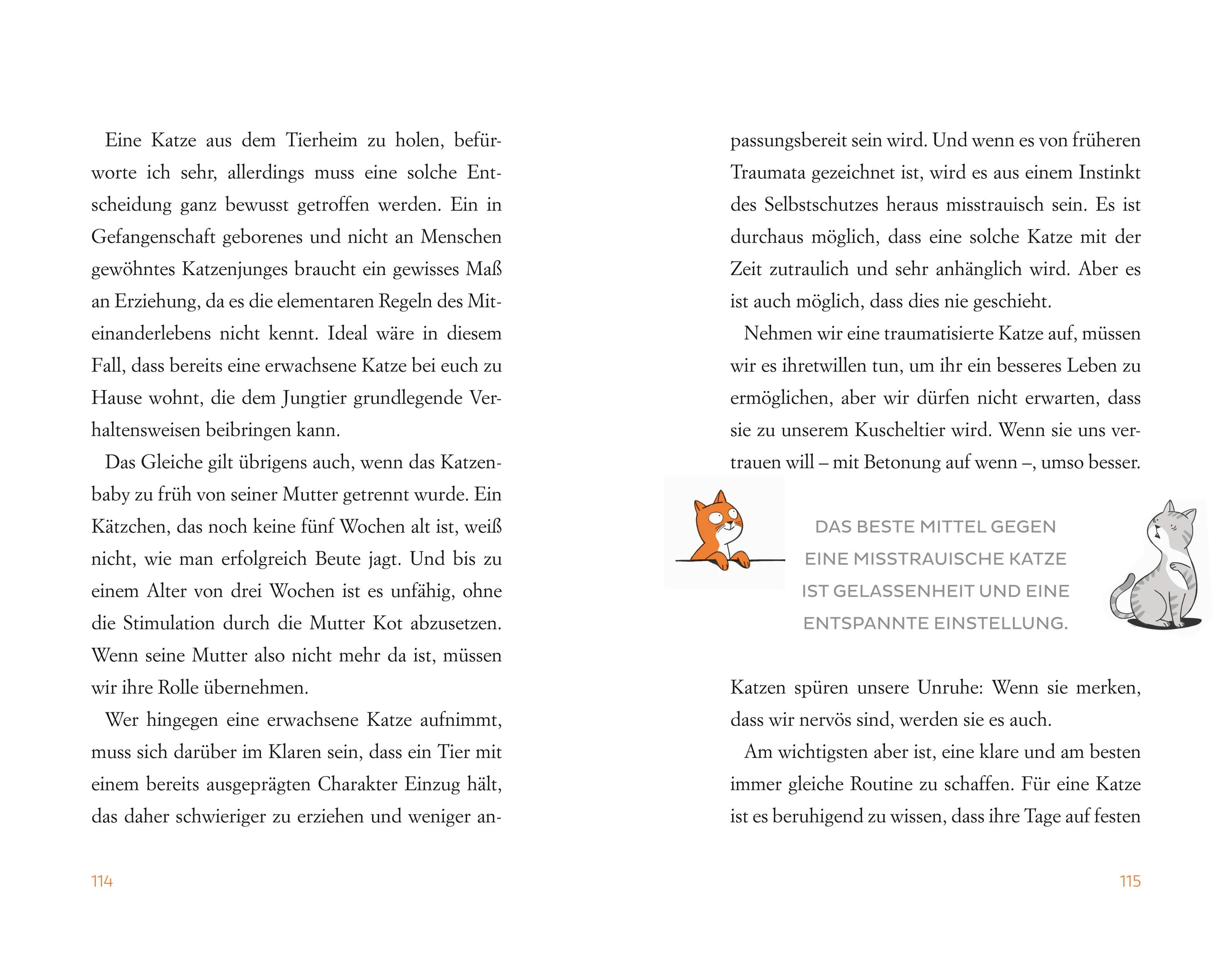 Produktansicht: Wie Katzen ihr perfektes Personal finden (Taschenbuch)