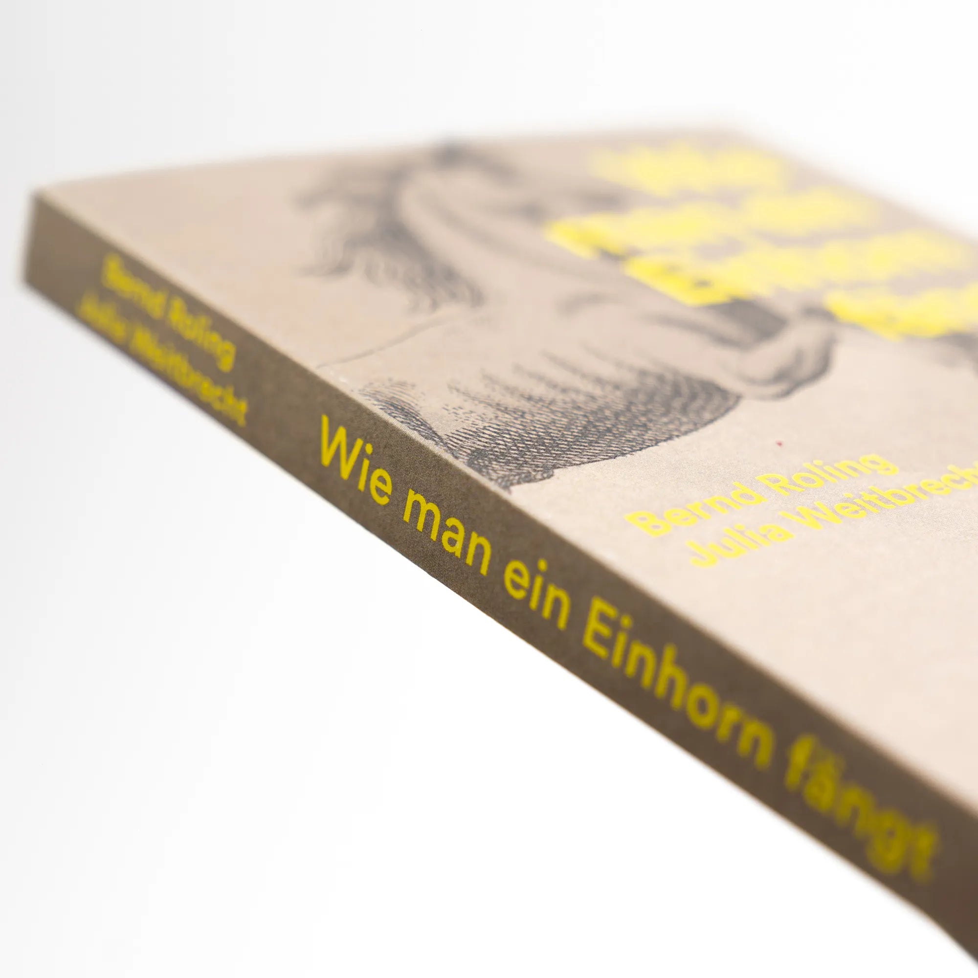 Produktansicht: Wie man ein Einhorn fängt. Eine fantastische Kulturgeschichte | MIT ZAHLREICHEN FARBABBILDUNGEN (Taschenbuch)