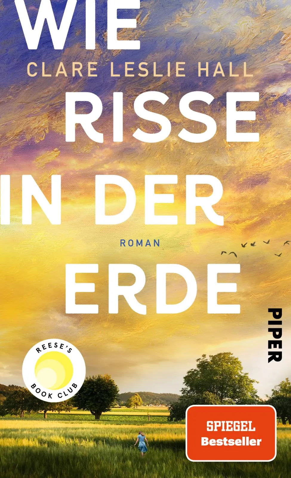 Cover: Wie Risse in der Erde (Hardcover) von Clare Leslie Hall