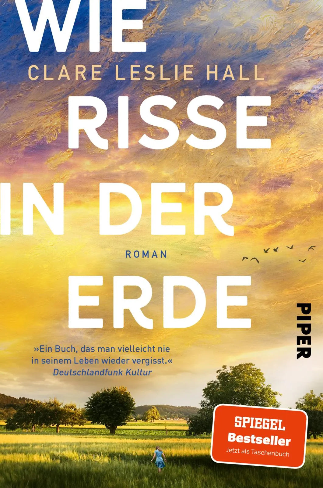 Cover: Wie Risse in der Erde (Paperback) von Clare Leslie Hall