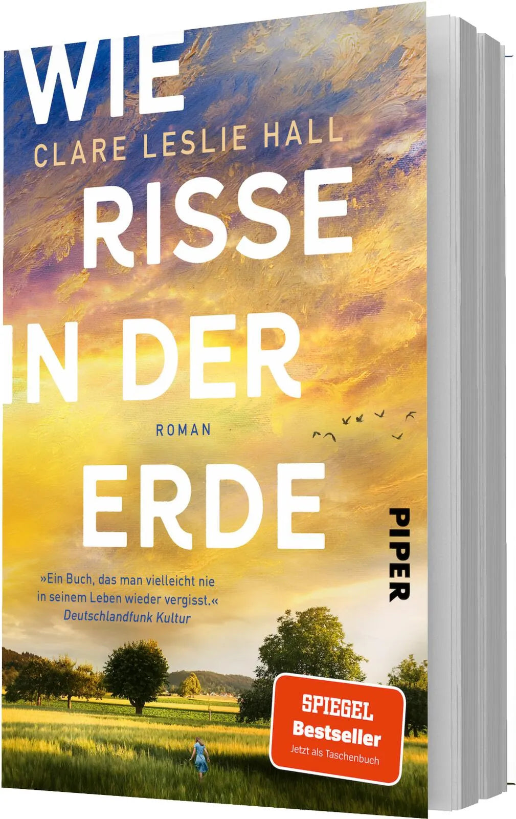 Detailansicht: Wie Risse in der Erde (Paperback)