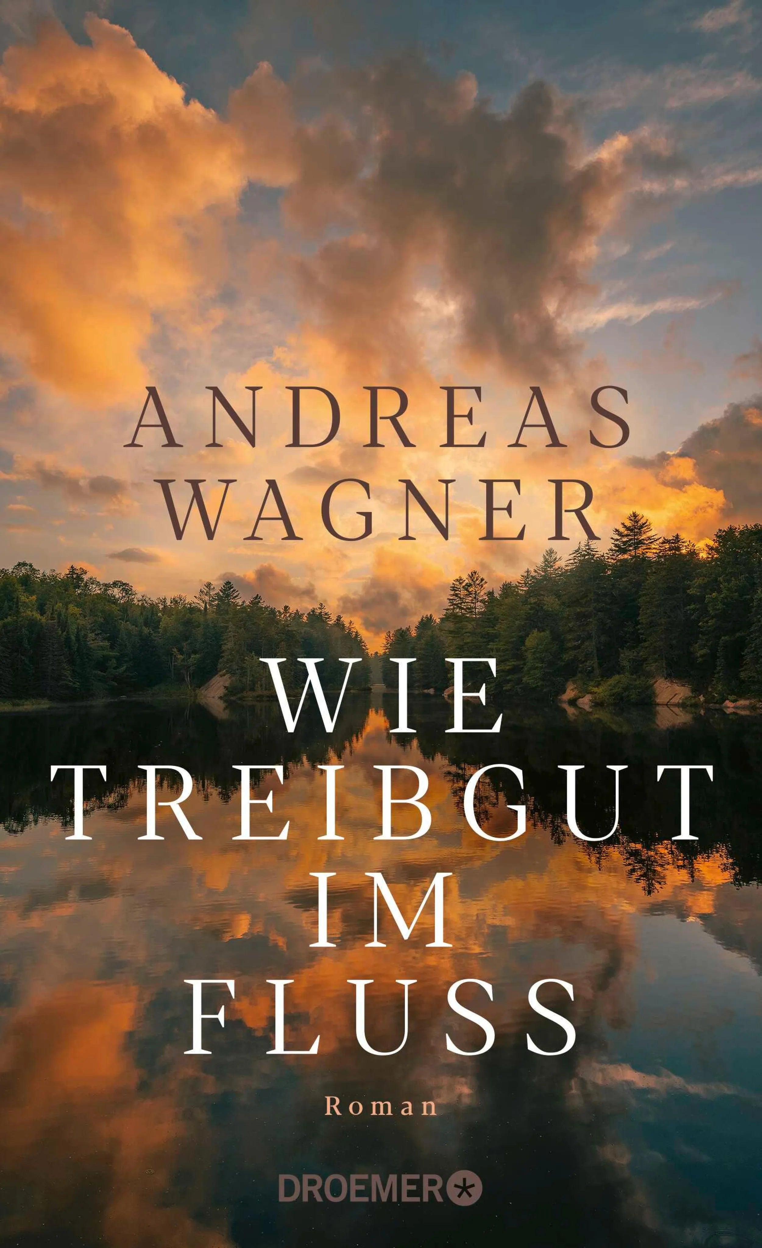 Cover: Wie Treibgut im Fluss (E-Book) von Andreas Wagner