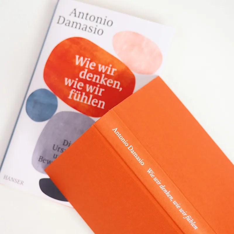 Detailansicht: Wie wir denken, wie wir fühlen (Hardcover)