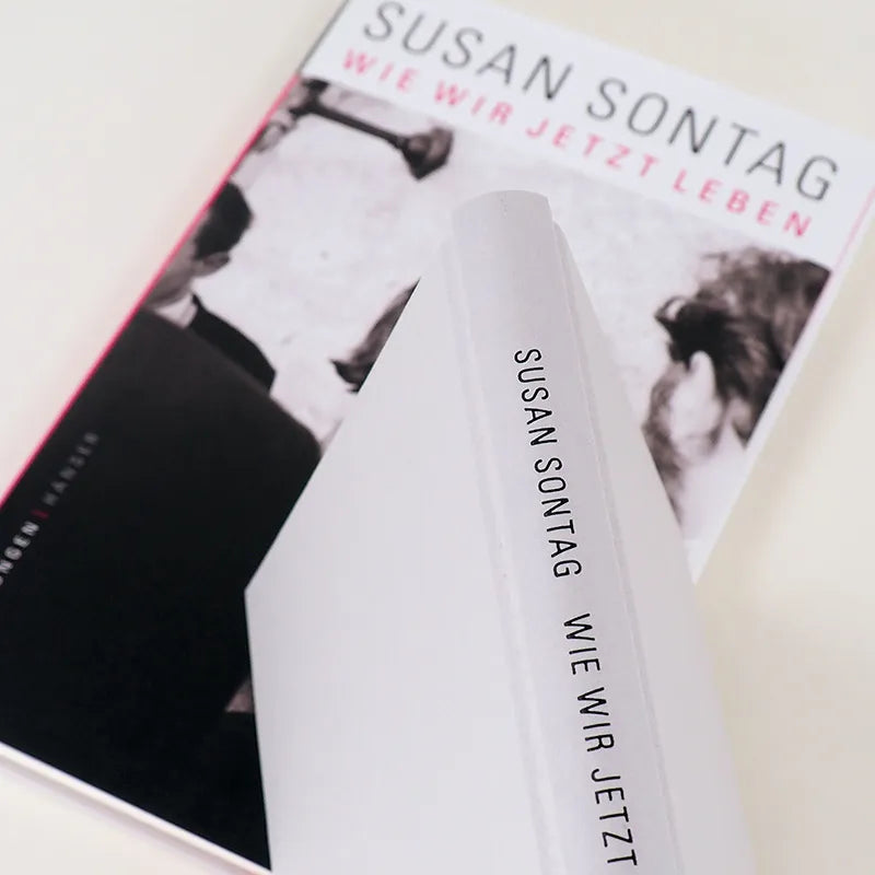 Susan Sontag - Wie wir jetzt leben