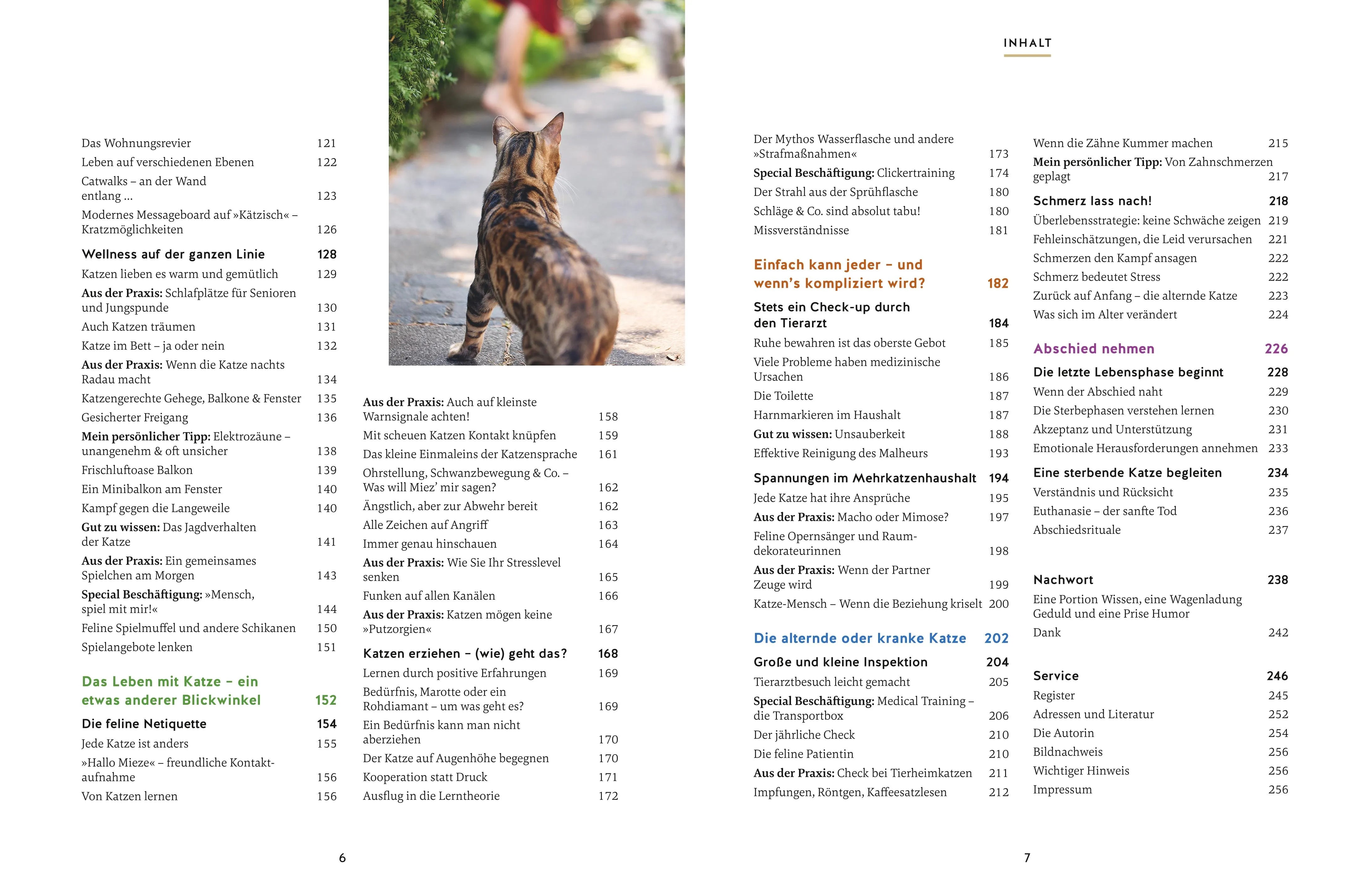 Produktansicht: Wie wir Katzen glücklich machen (Gebundene Ausgabe)