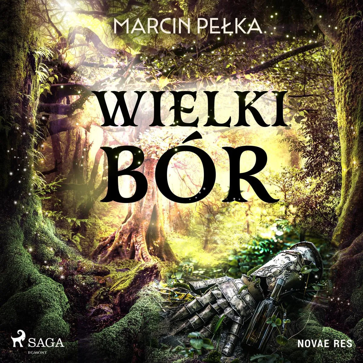 Cover: Wielki Bór (Hörbuch Download) von Marcin Pelka