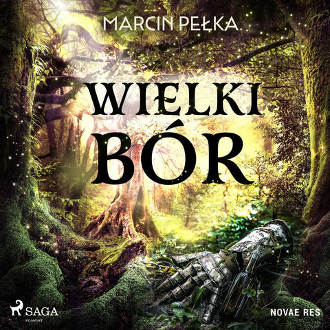 Wielki Bór