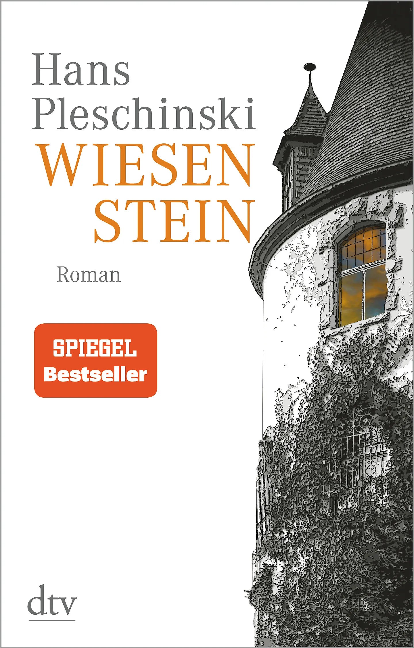 Buchcover von 'Wiesenstein' - Taschenbuch von Hans Pleschinski
