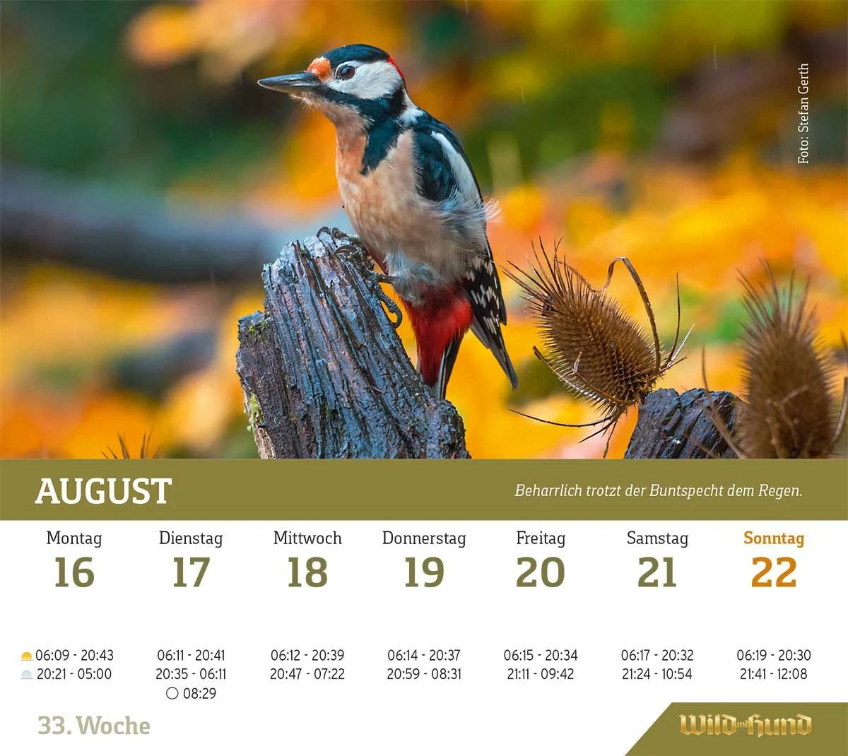 WILD UND HUND Edition: Jagdkalender Tischvariante 2027 – Ansicht